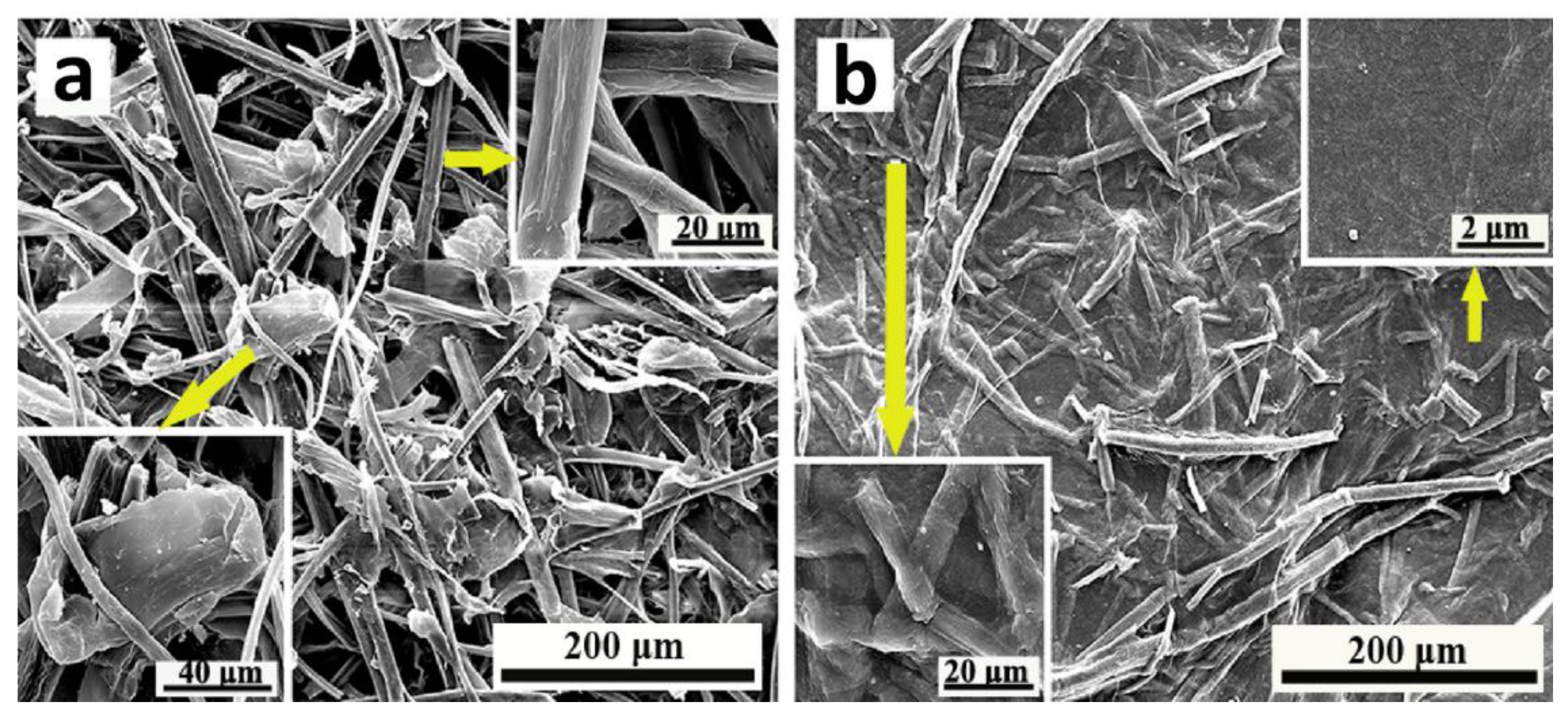 Polymers 14 05138 g009 Polymers 14 05138 g009