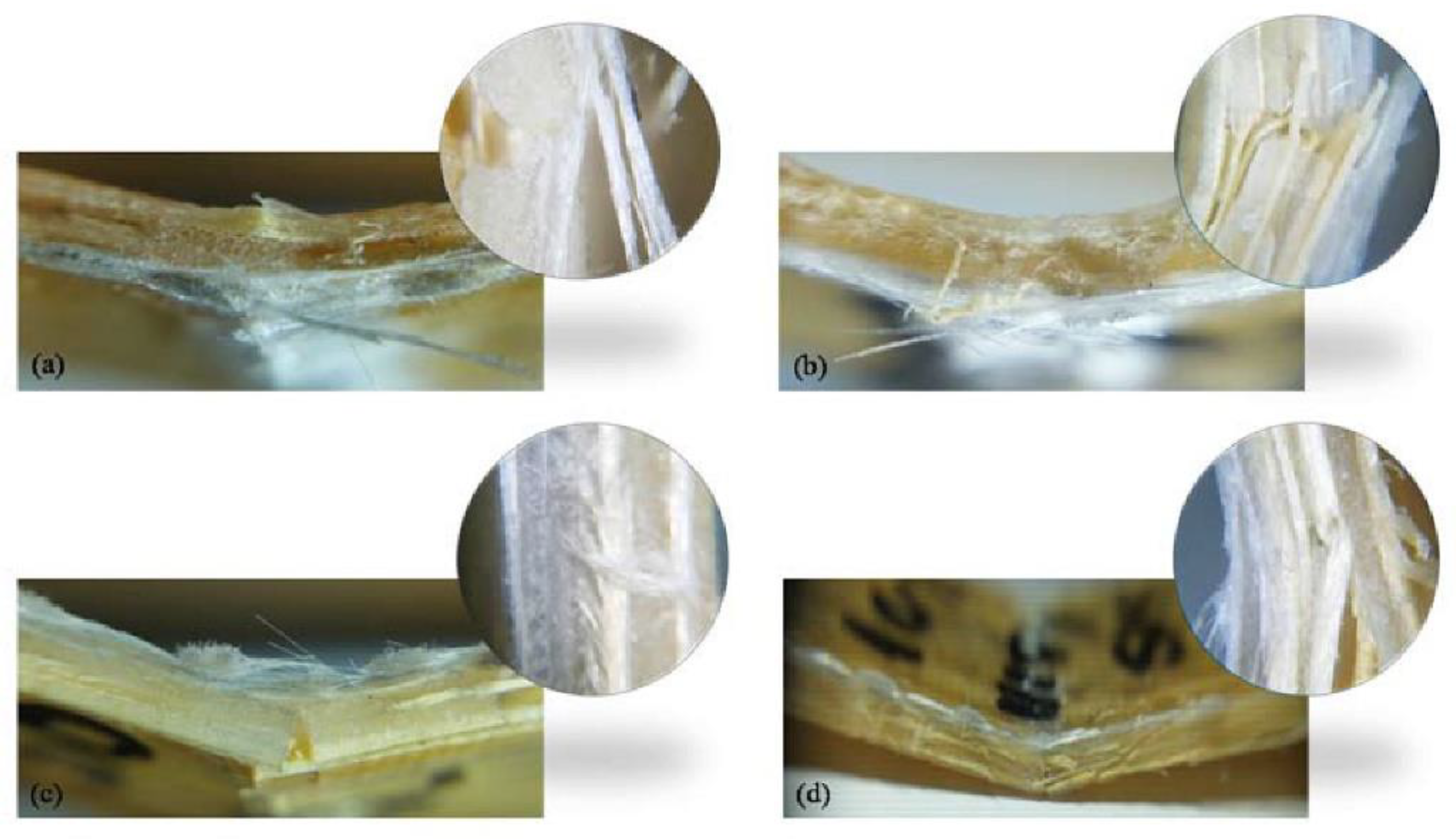 Polymers 14 05138 g012 Polymers 14 05138 g012