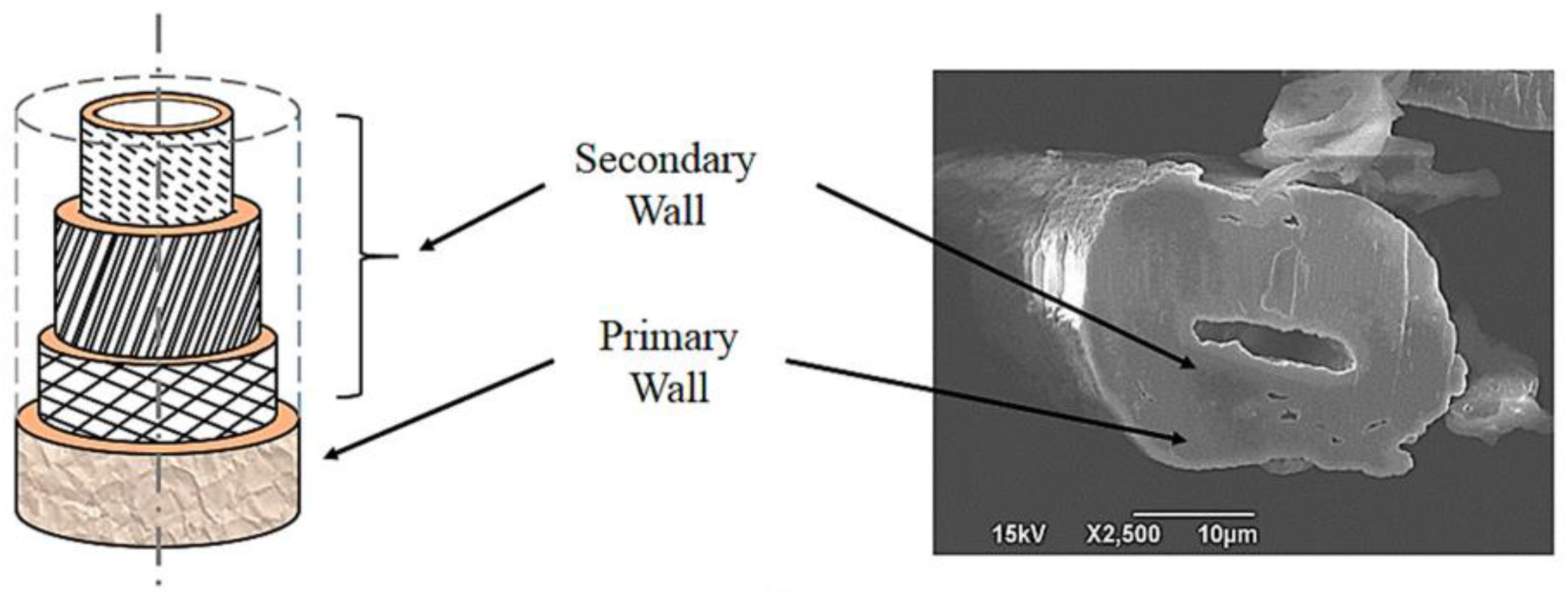 Polymers 14 05138 g018 Polymers 14 05138 g018