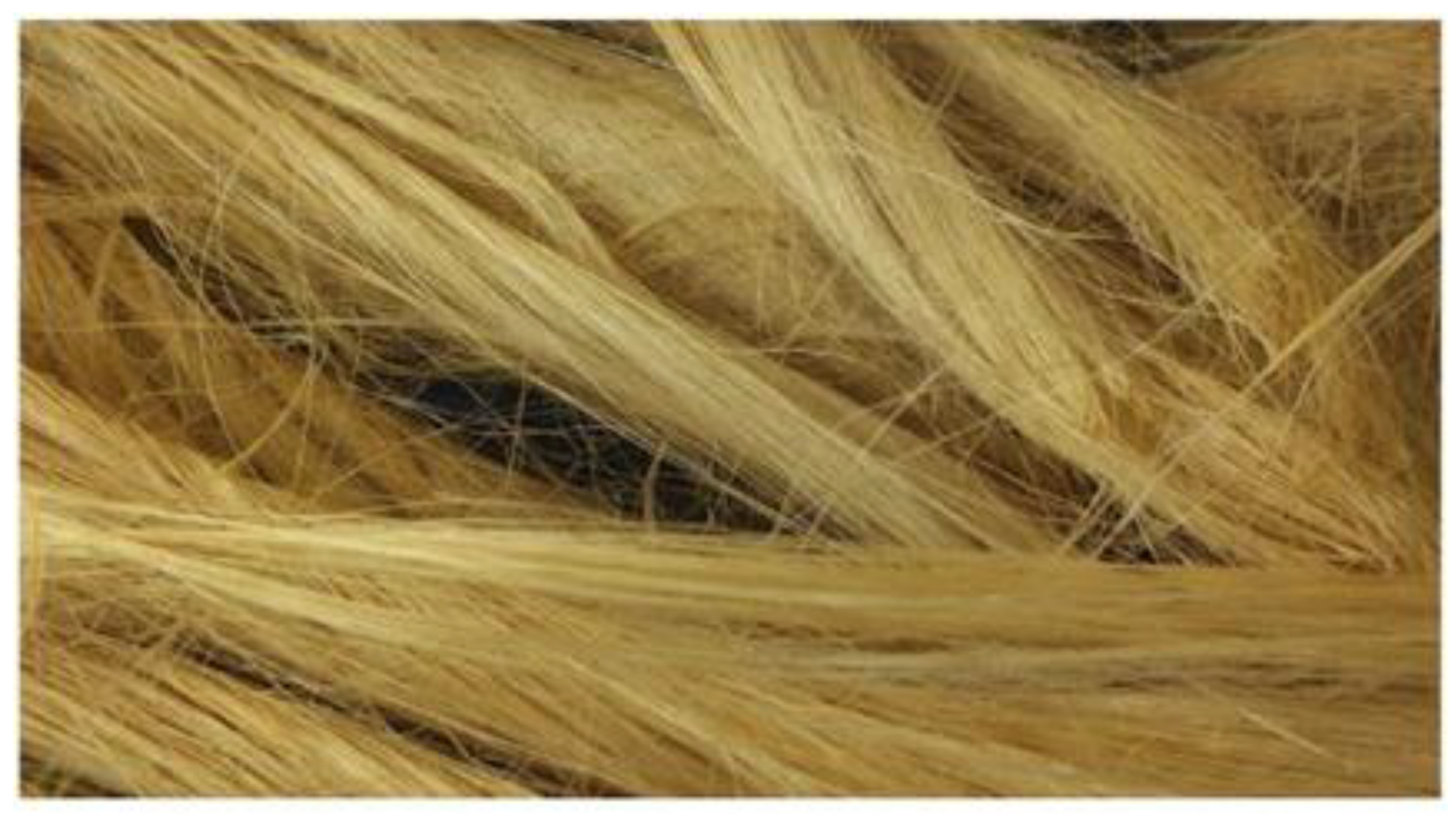 Polymers 14 05138 g020 Polymers 14 05138 g020