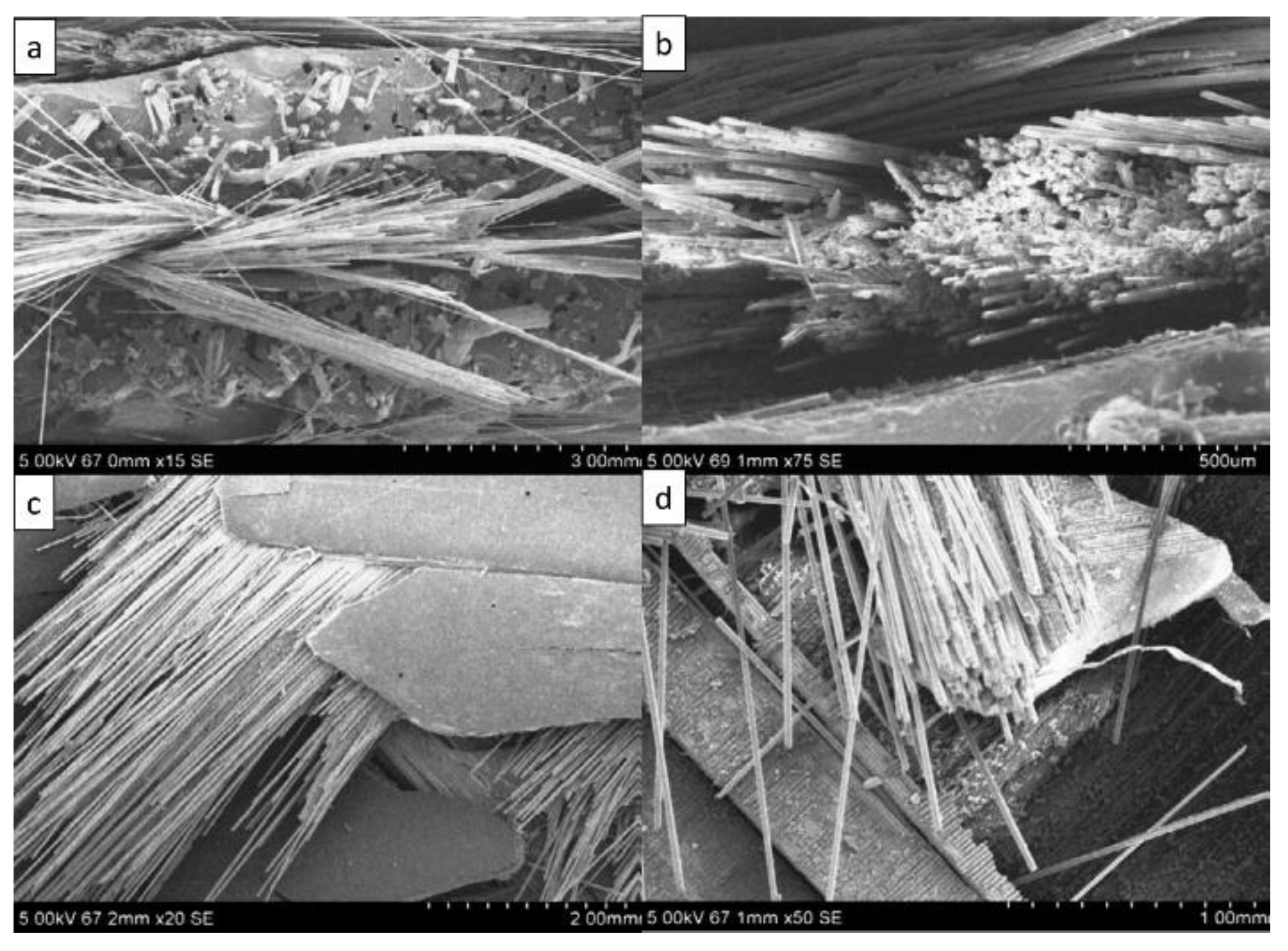 Polymers 14 05138 g032 Polymers 14 05138 g032