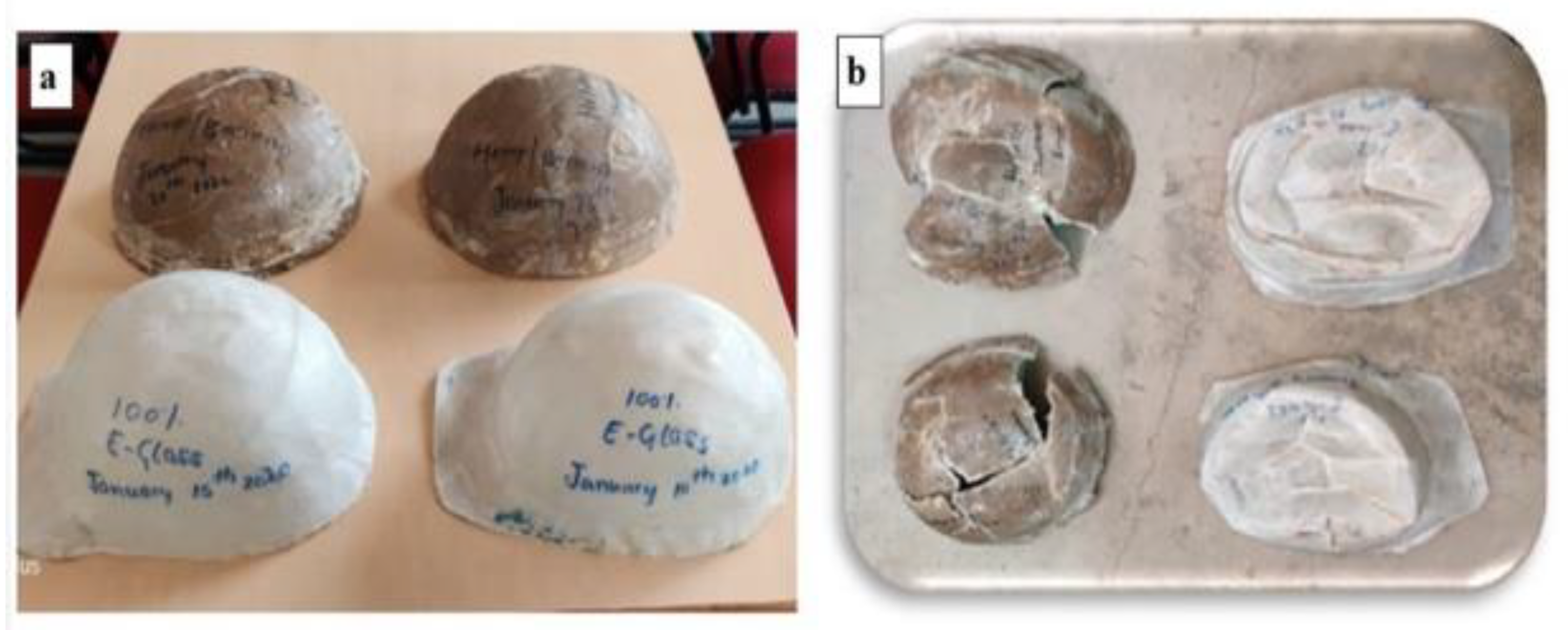 Polymers 14 05138 g036 Polymers 14 05138 g036