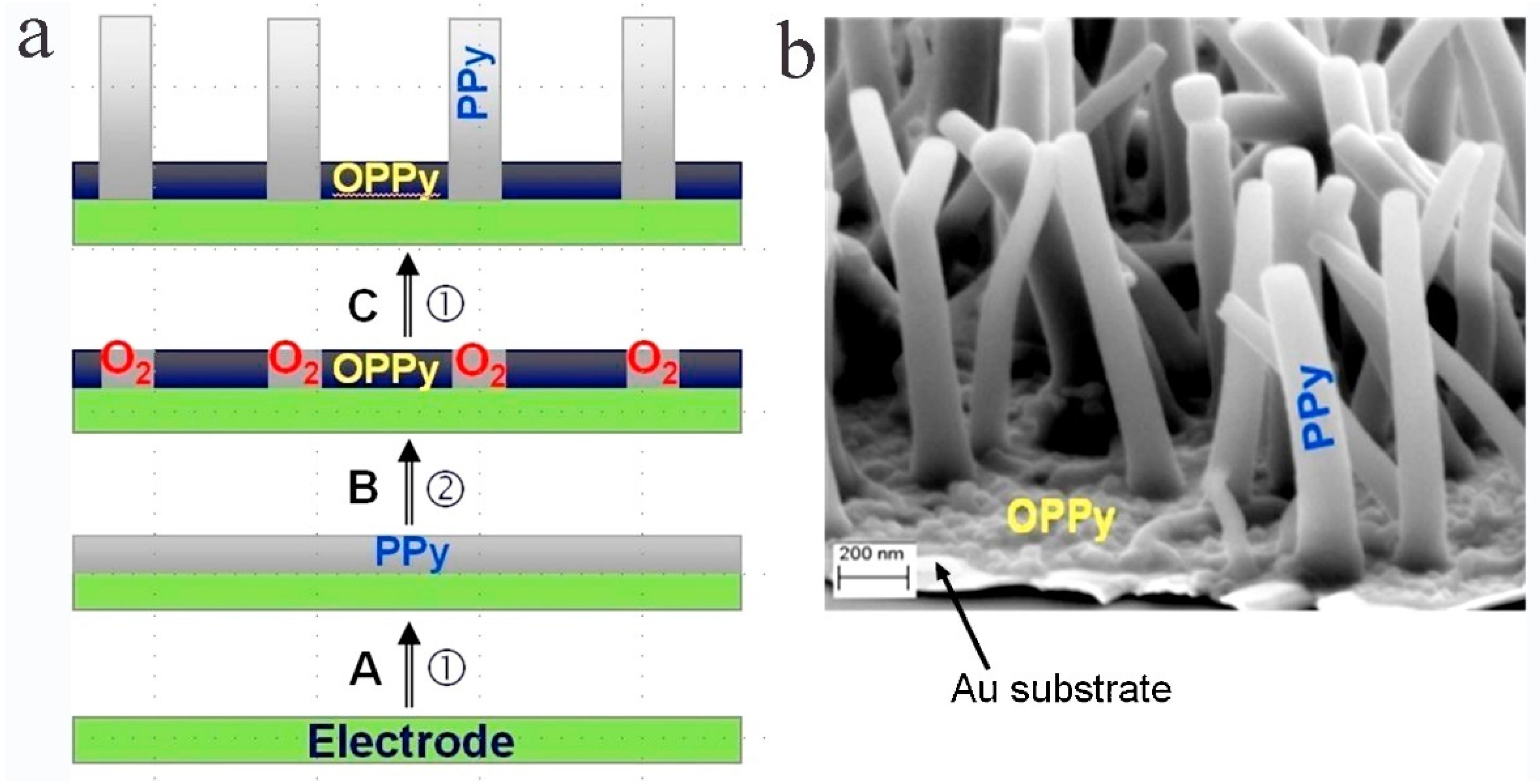 Polymers 14 05139 g006 Polymers 14 05139 g006