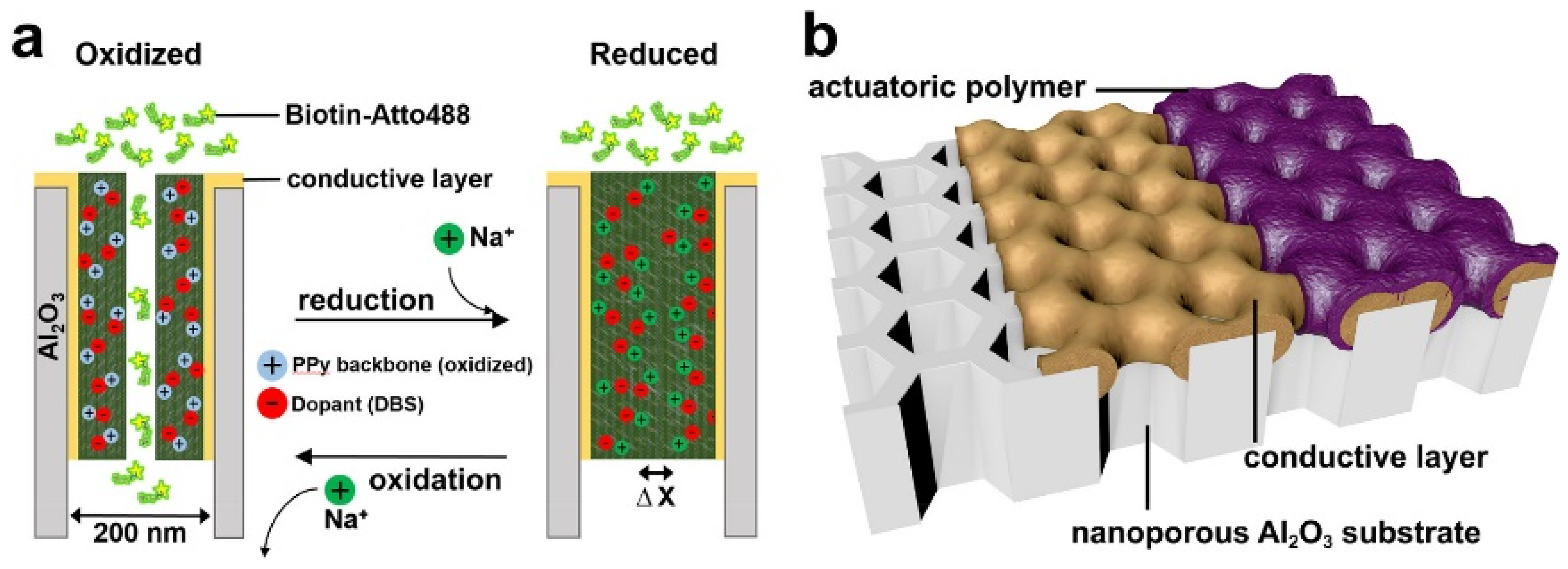 Polymers 14 05139 g010 Polymers 14 05139 g010