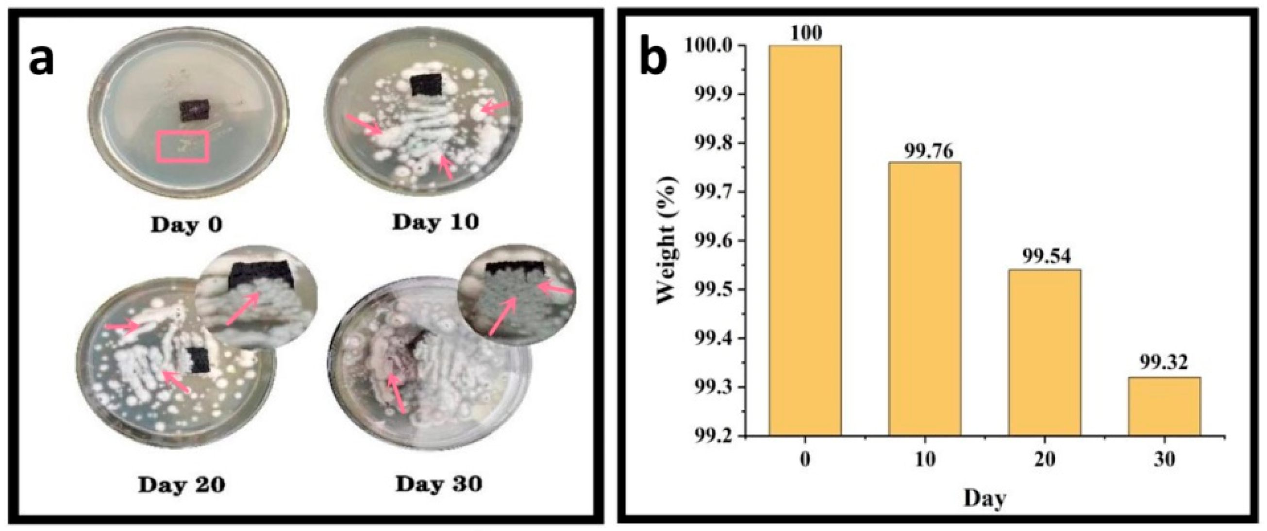 Polymers 14 05140 g008