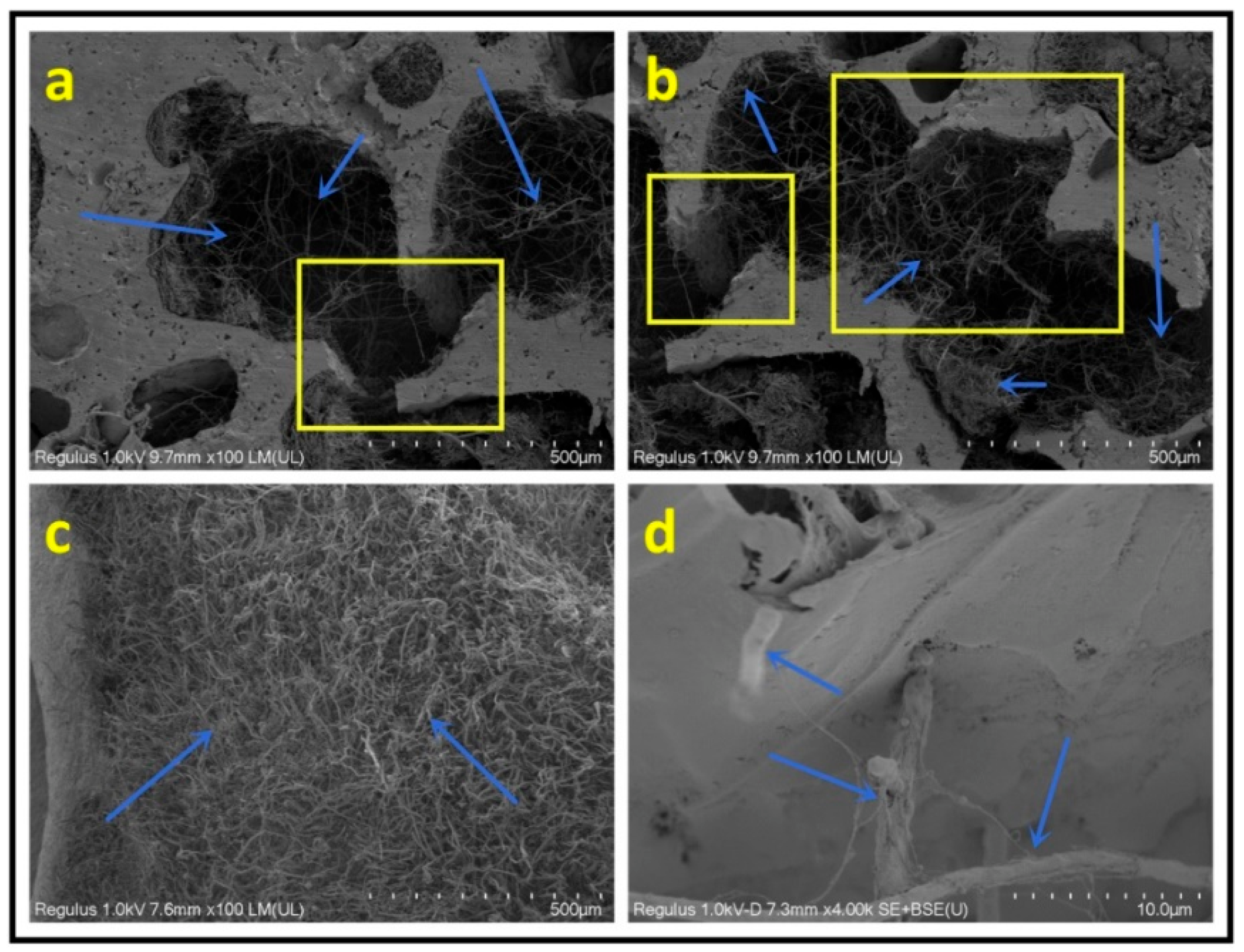 Polymers 14 05140 g009