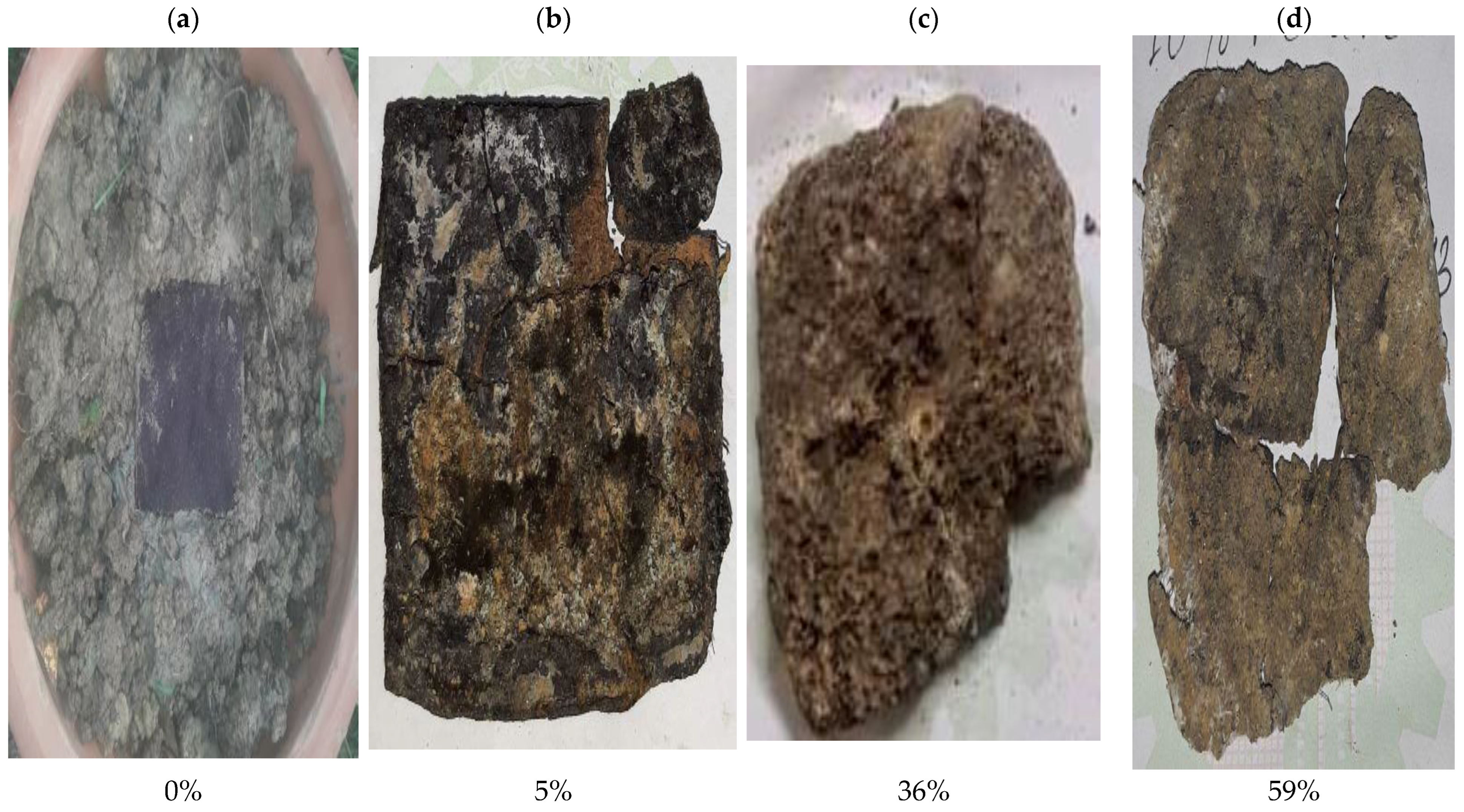 Polymers 14 05141 g004 Polymers 14 05141 g004