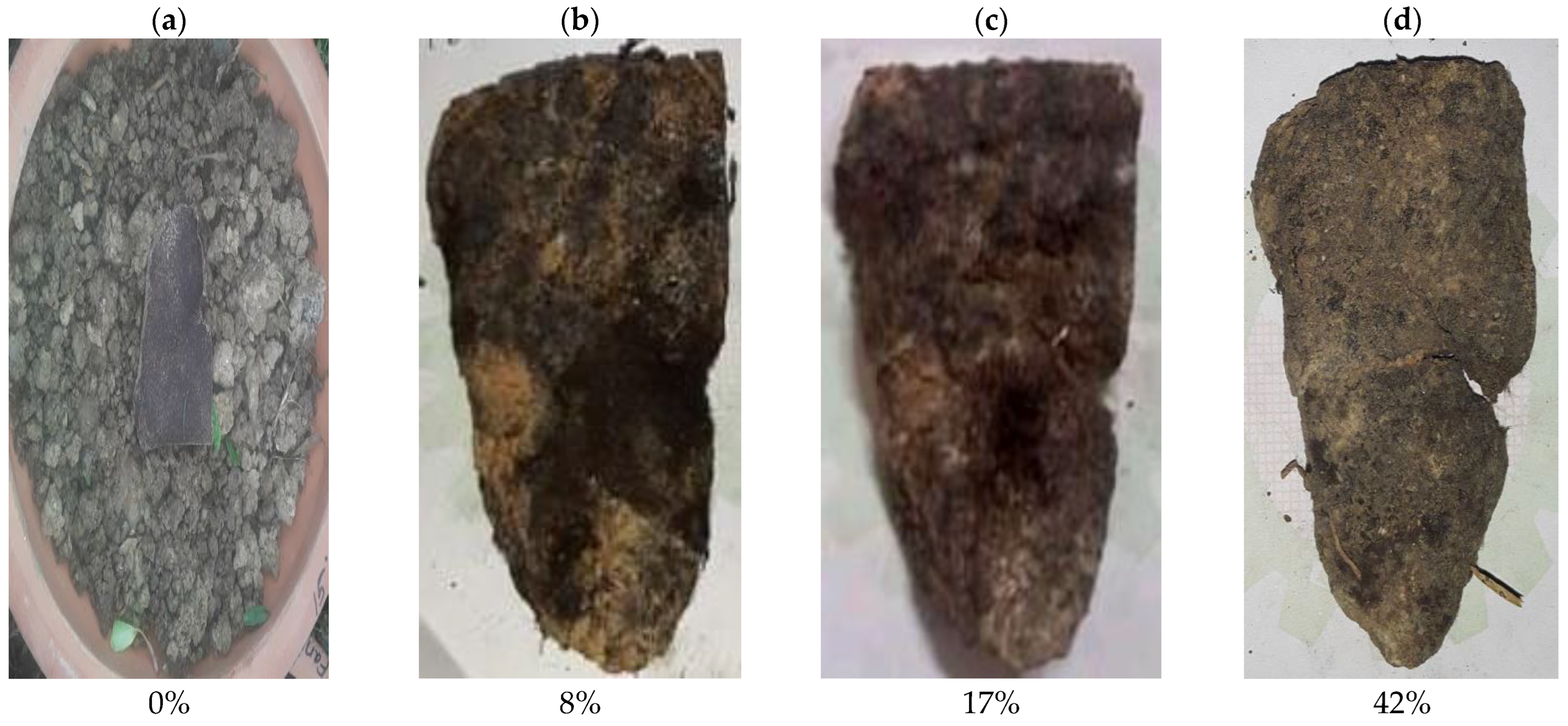 Polymers 14 05141 g005 Polymers 14 05141 g005