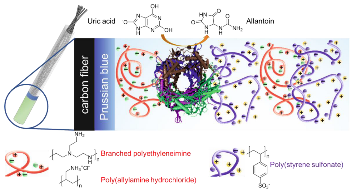 Polymers 14 05145 g001 Polymers 14 05145 g001