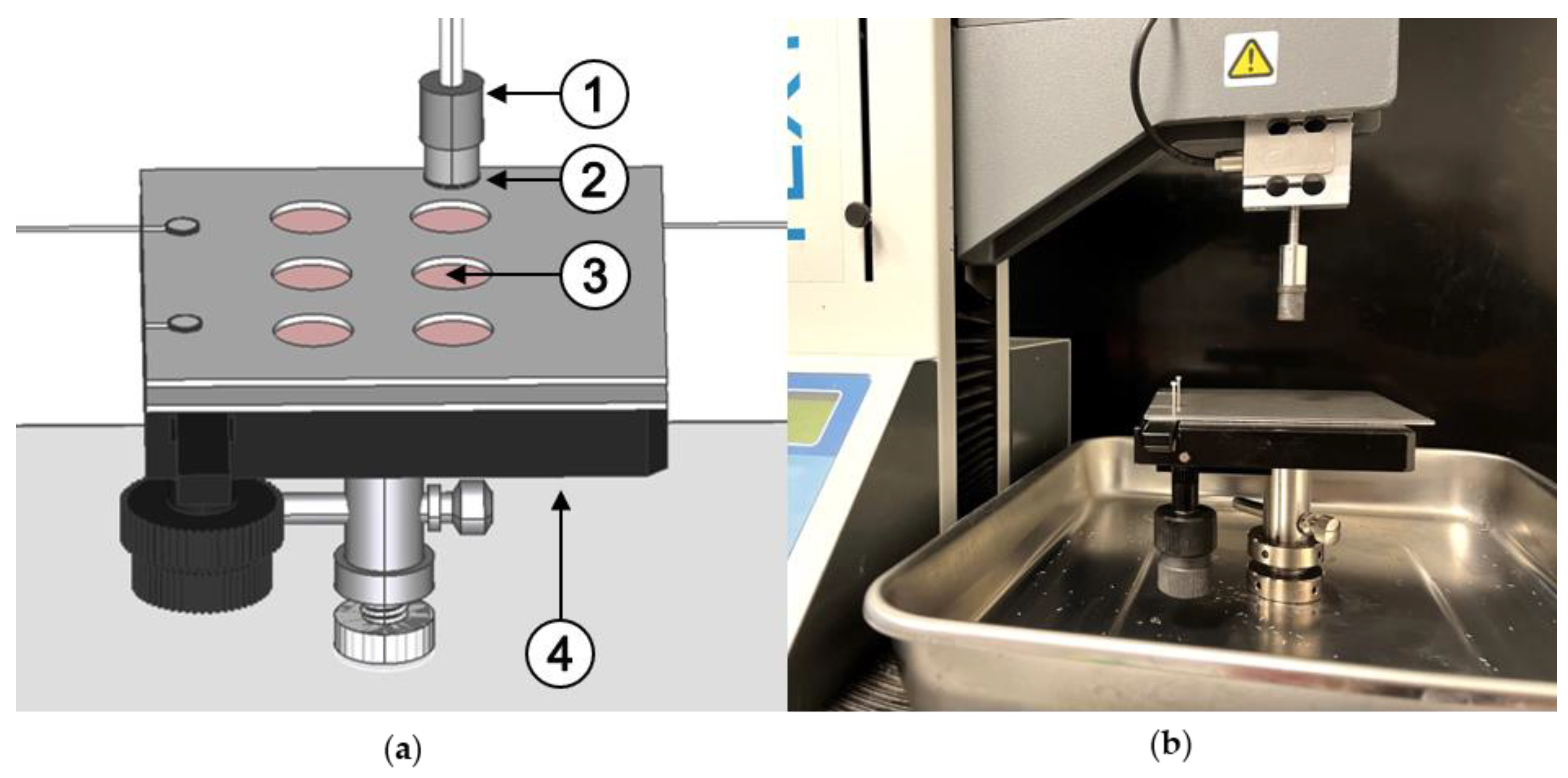 Polymers 14 05146 g001 Polymers 14 05146 g001