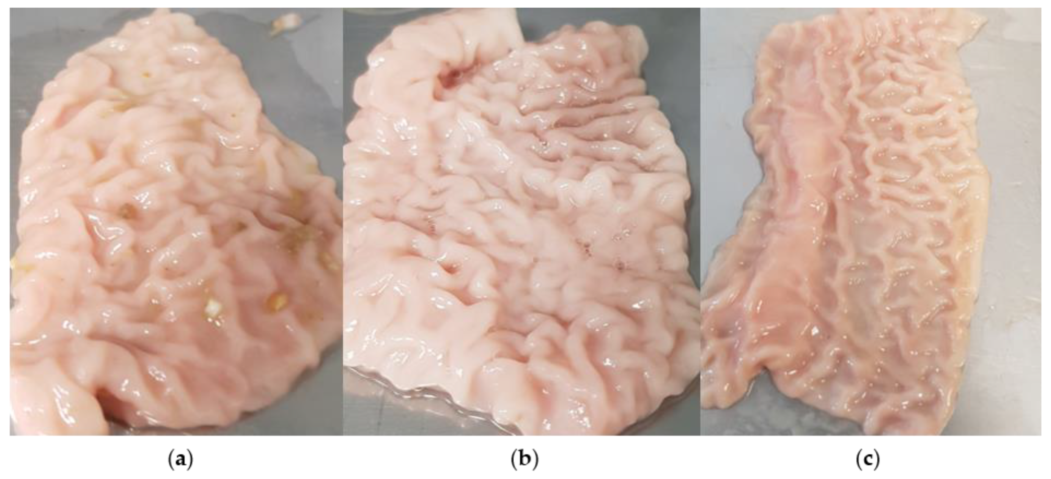 Polymers 14 05146 g010 Polymers 14 05146 g010
