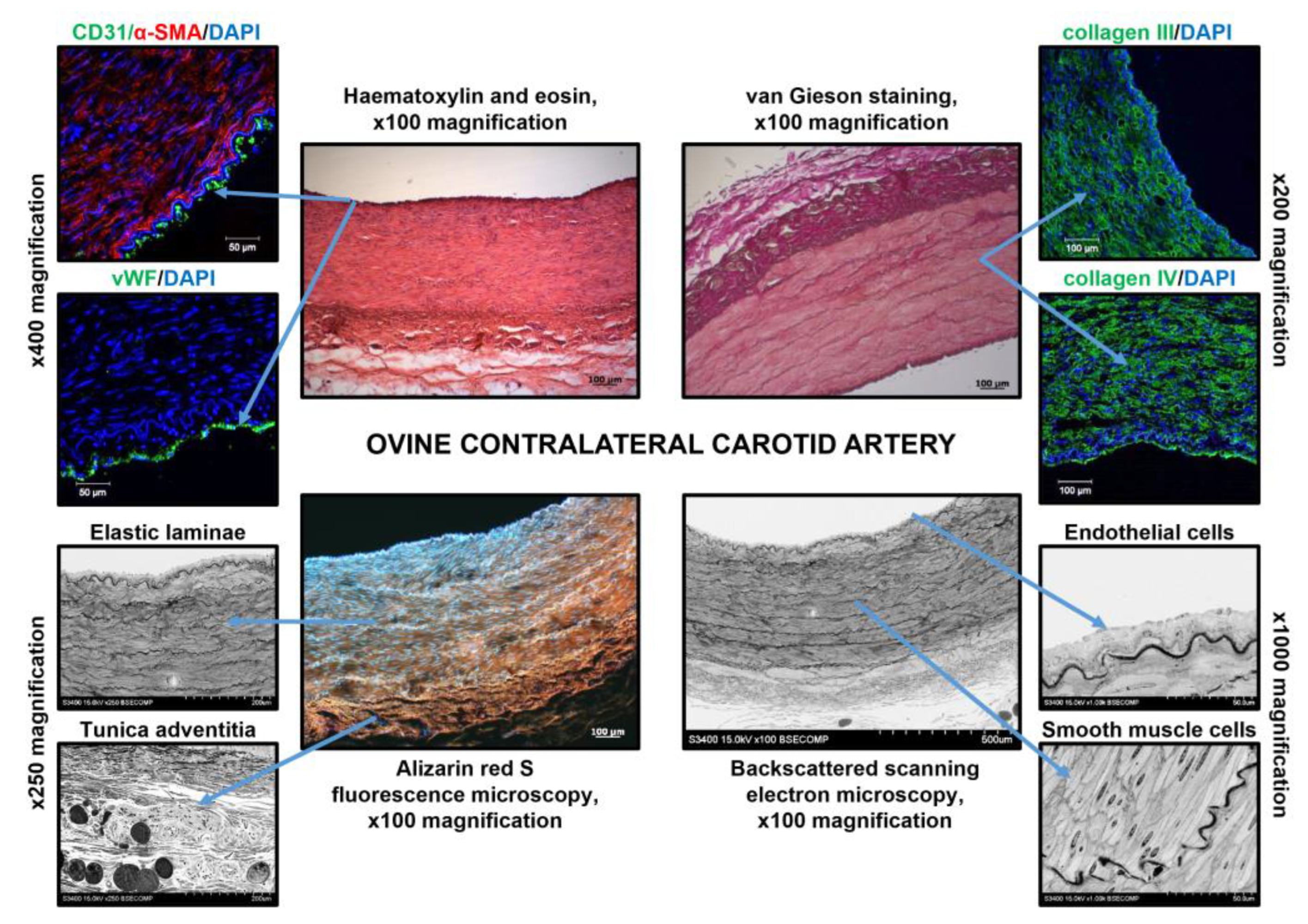 Polymers 14 05149 g007