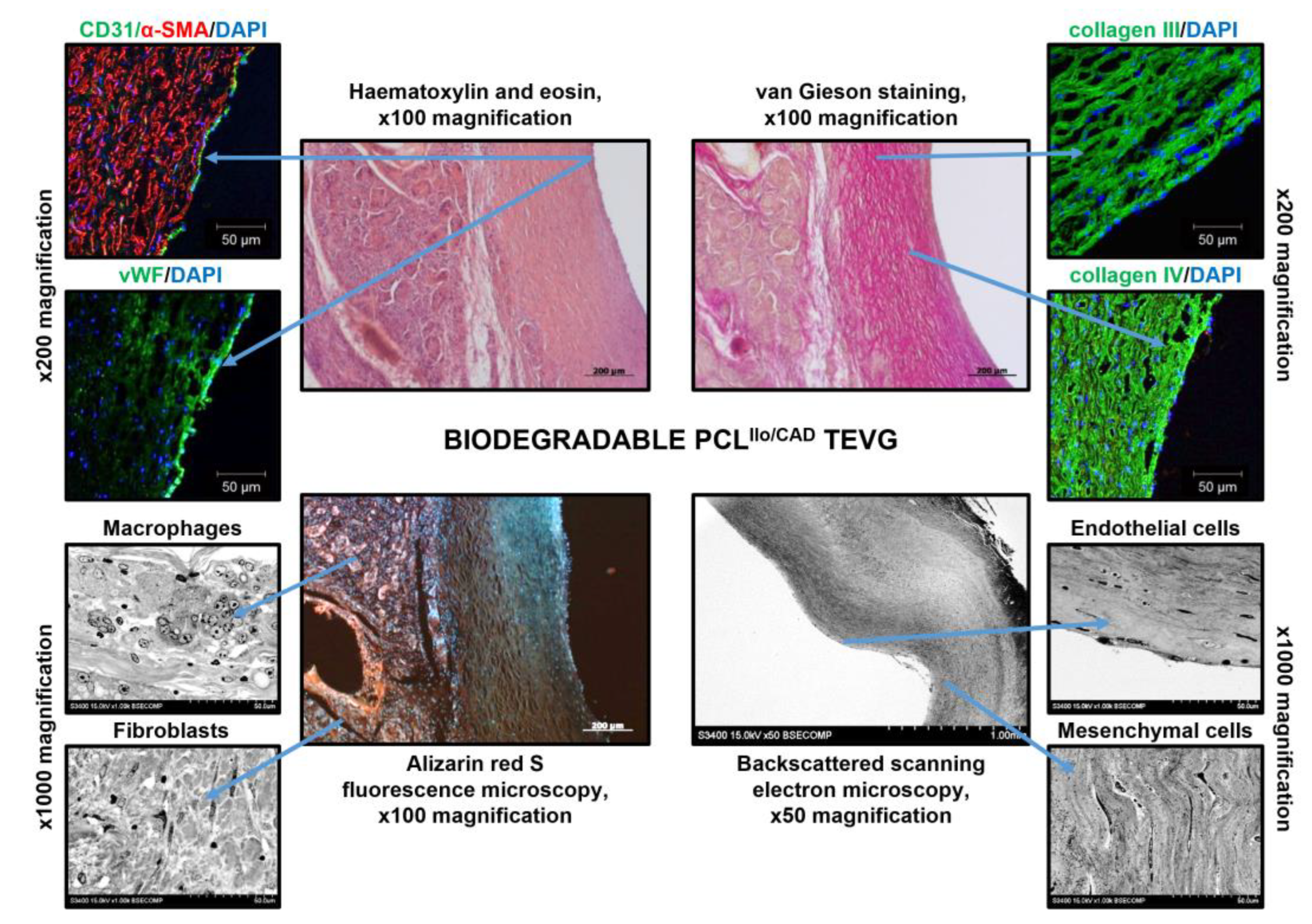 Polymers 14 05149 g008
