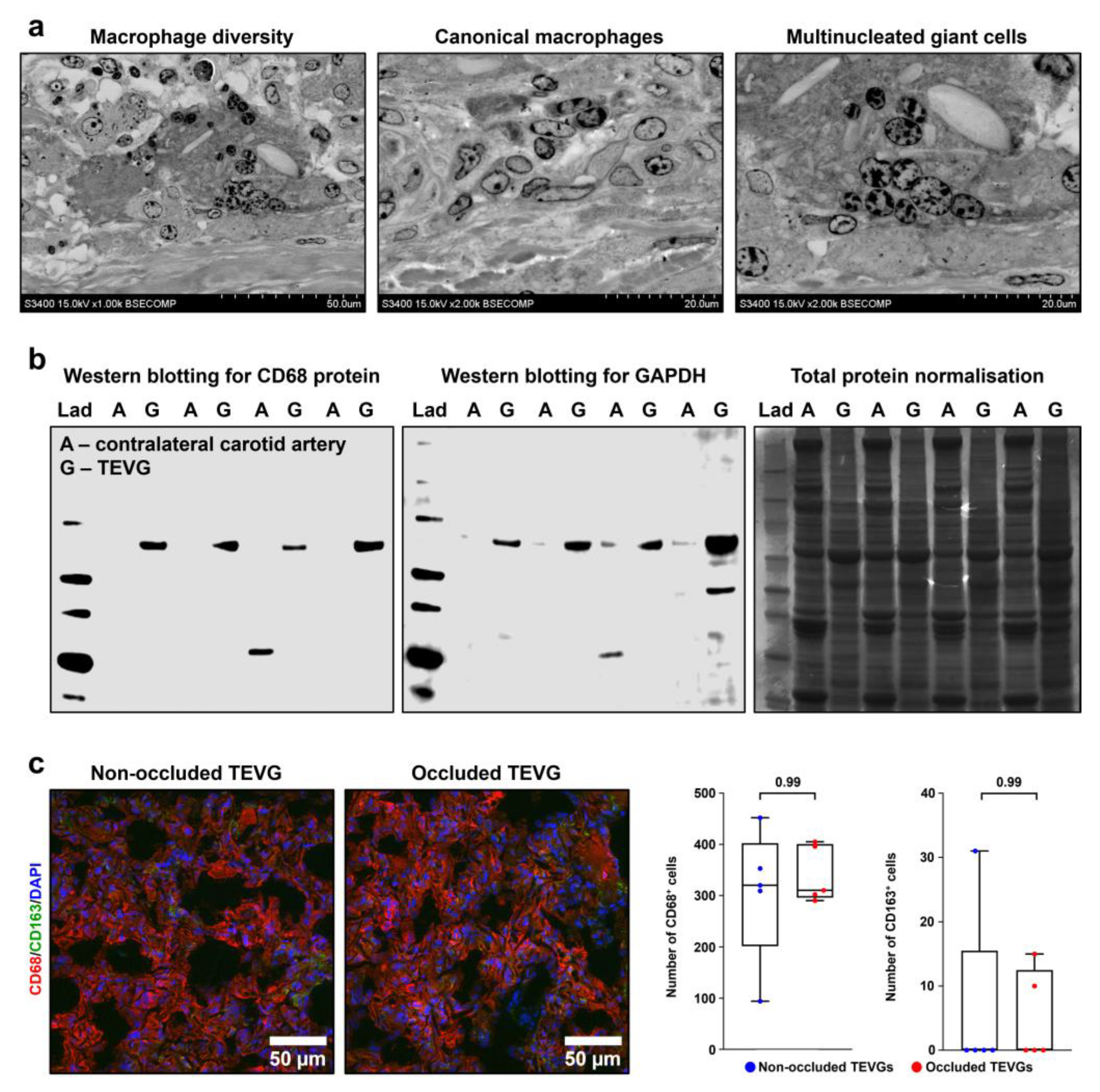 Polymers 14 05149 g011