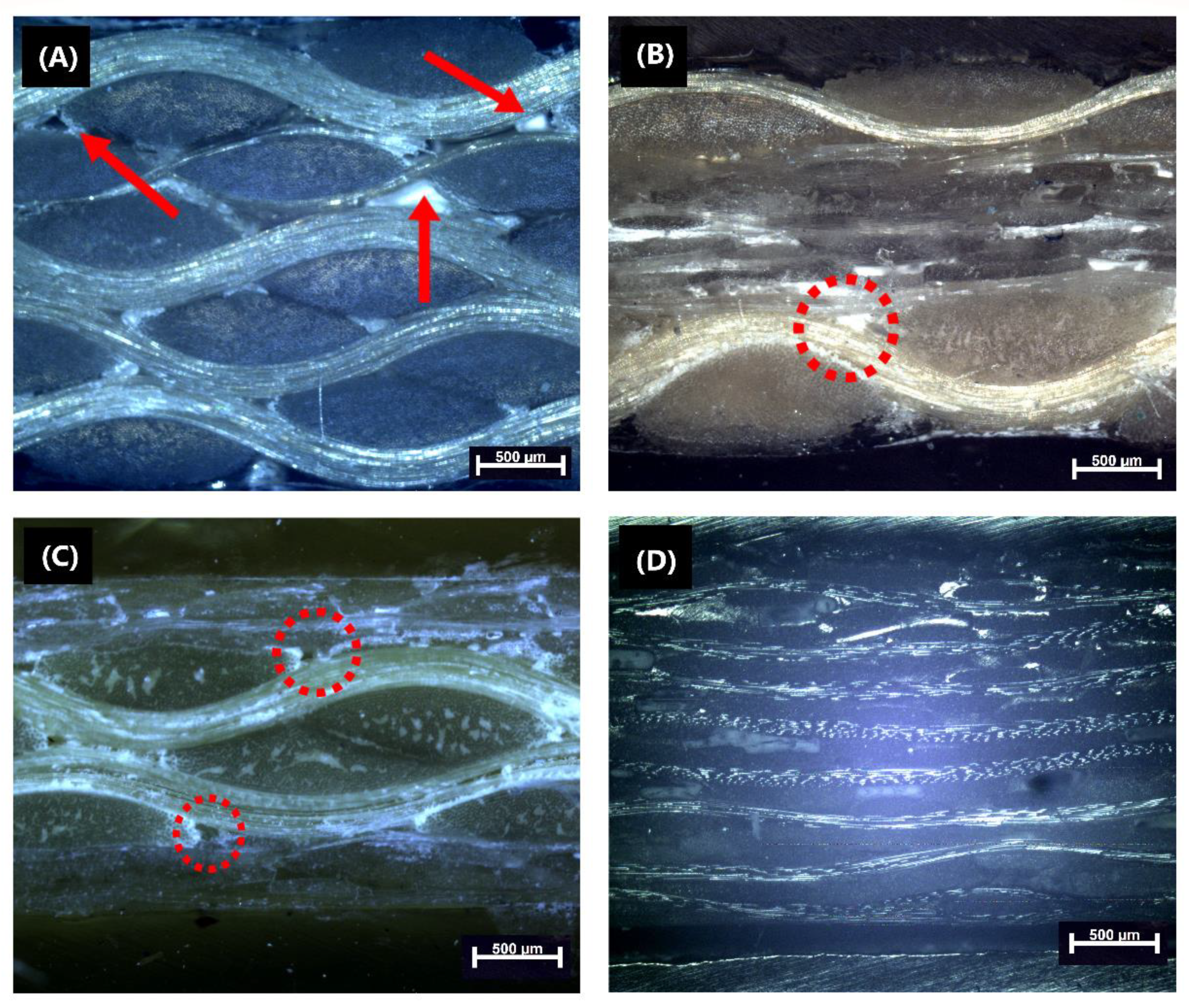 Polymers 14 05150 g004 Polymers 14 05150 g004