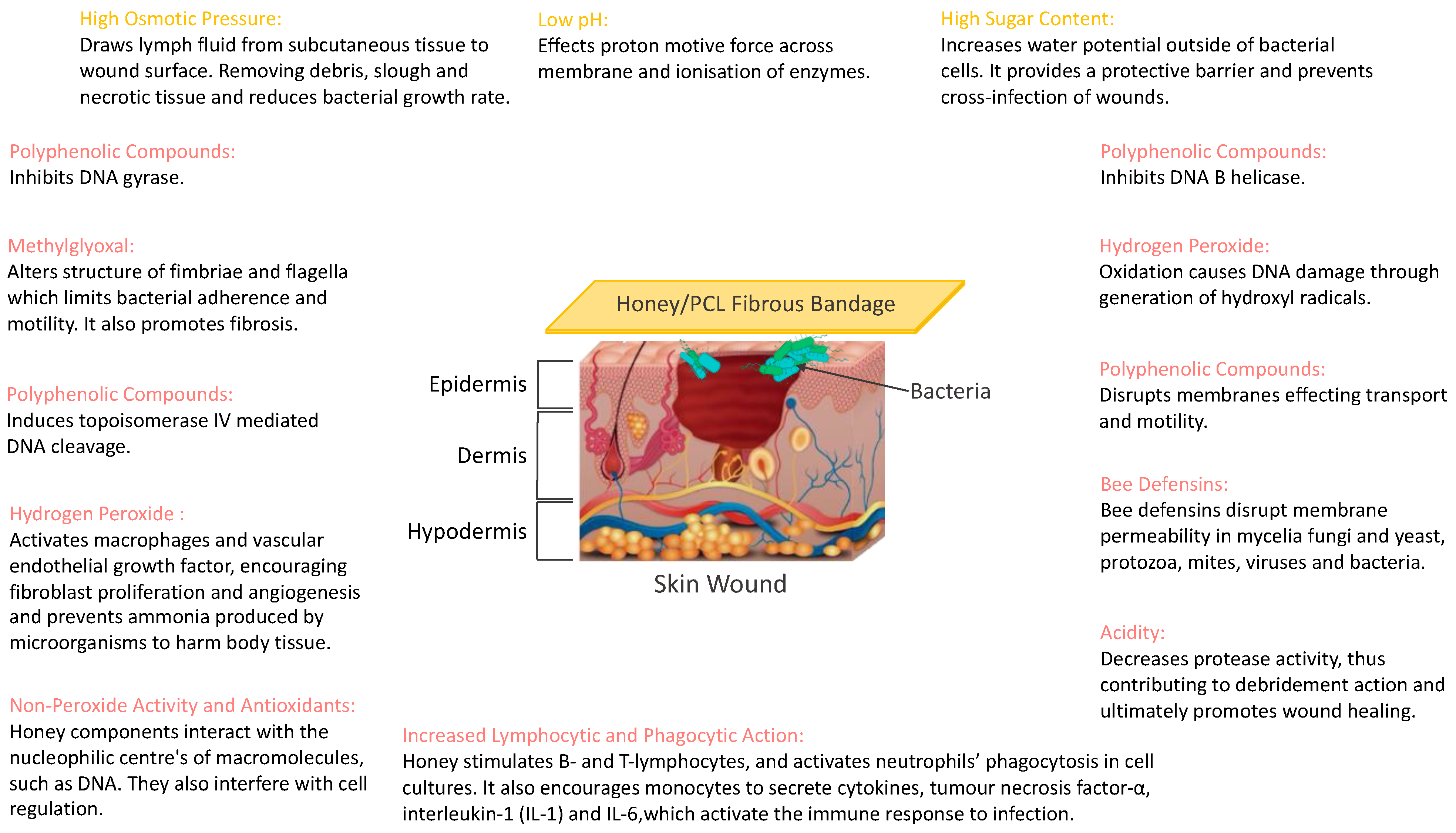 Polymers 14 05155 g008 Polymers 14 05155 g008