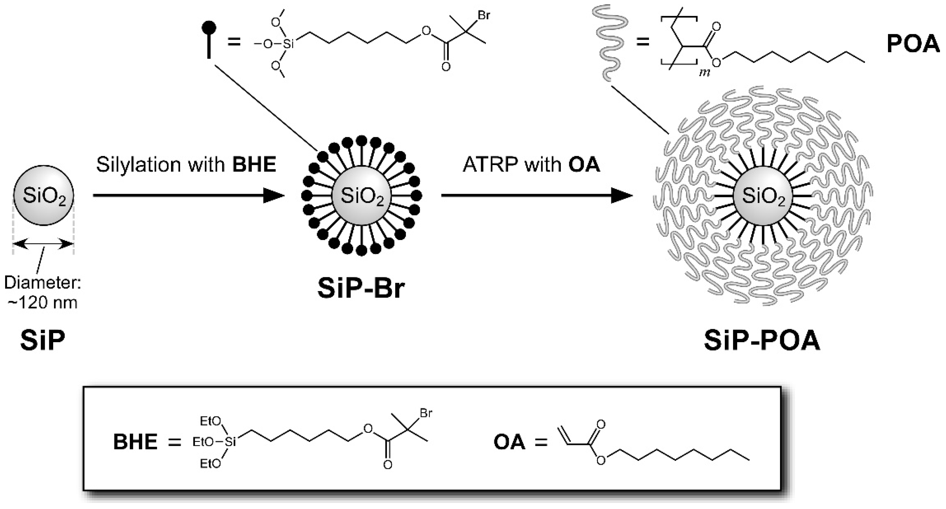 Polymers 14 05157 g001 Polymers 14 05157 g001
