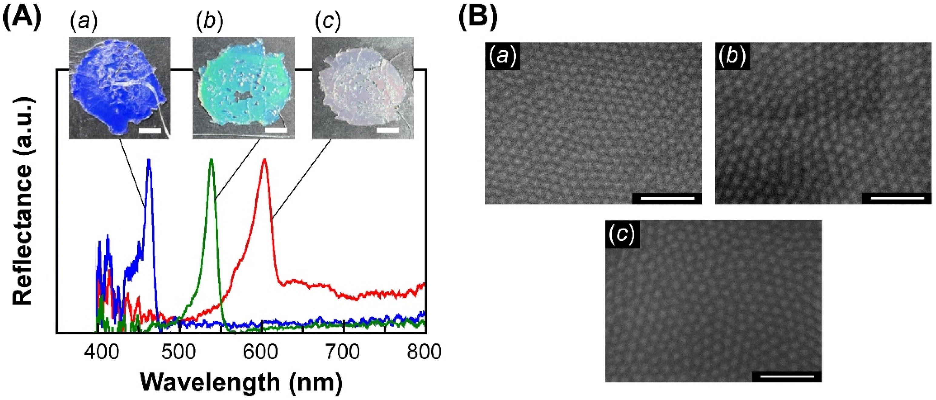 Polymers 14 05157 g003 Polymers 14 05157 g003