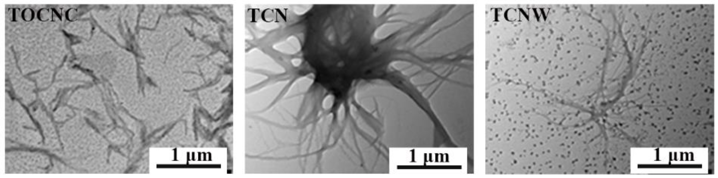 Polymers 14 05159 g001 Polymers 14 05159 g001