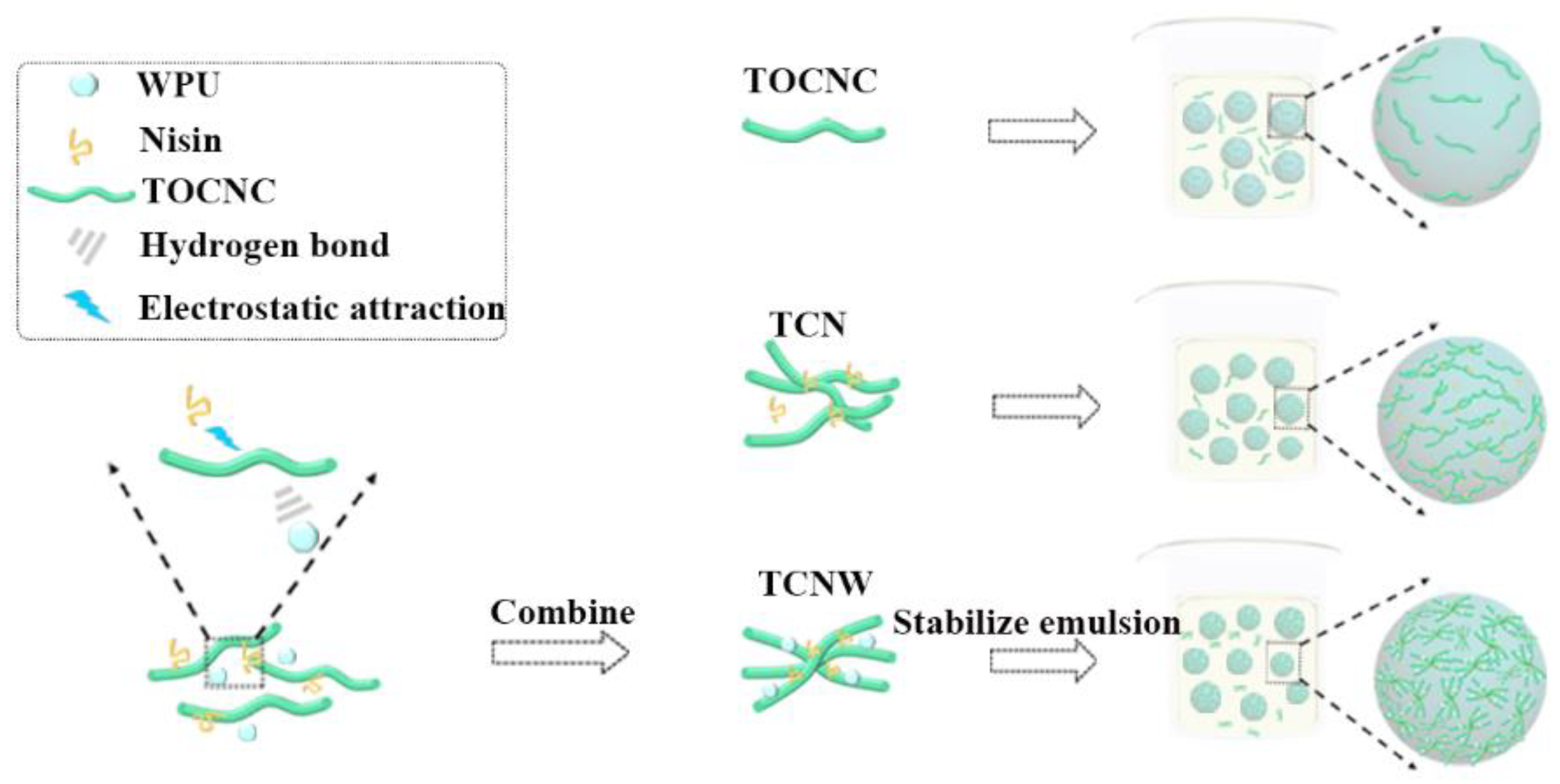 Polymers 14 05159 g006 Polymers 14 05159 g006