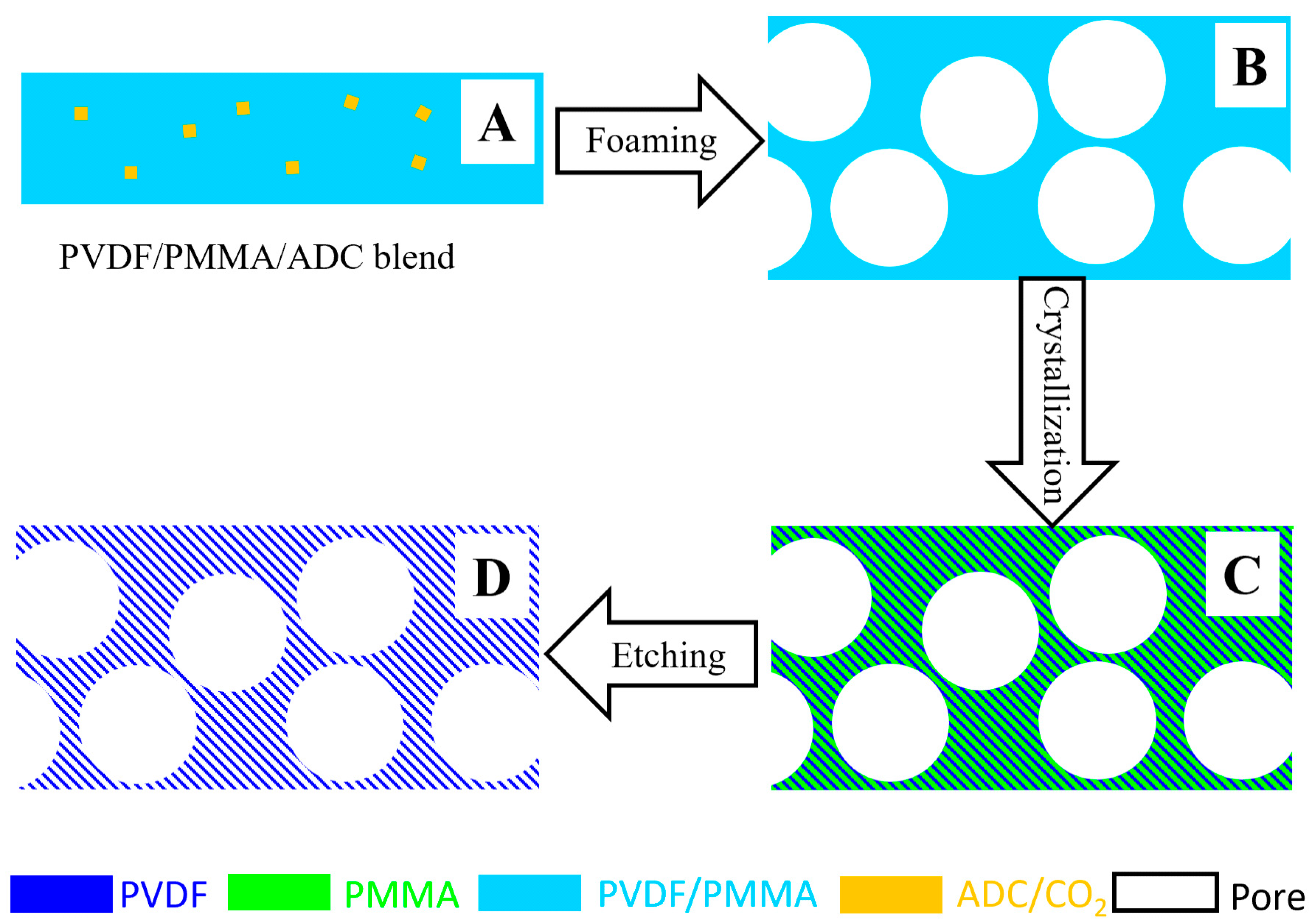 Polymers 14 05160 g001