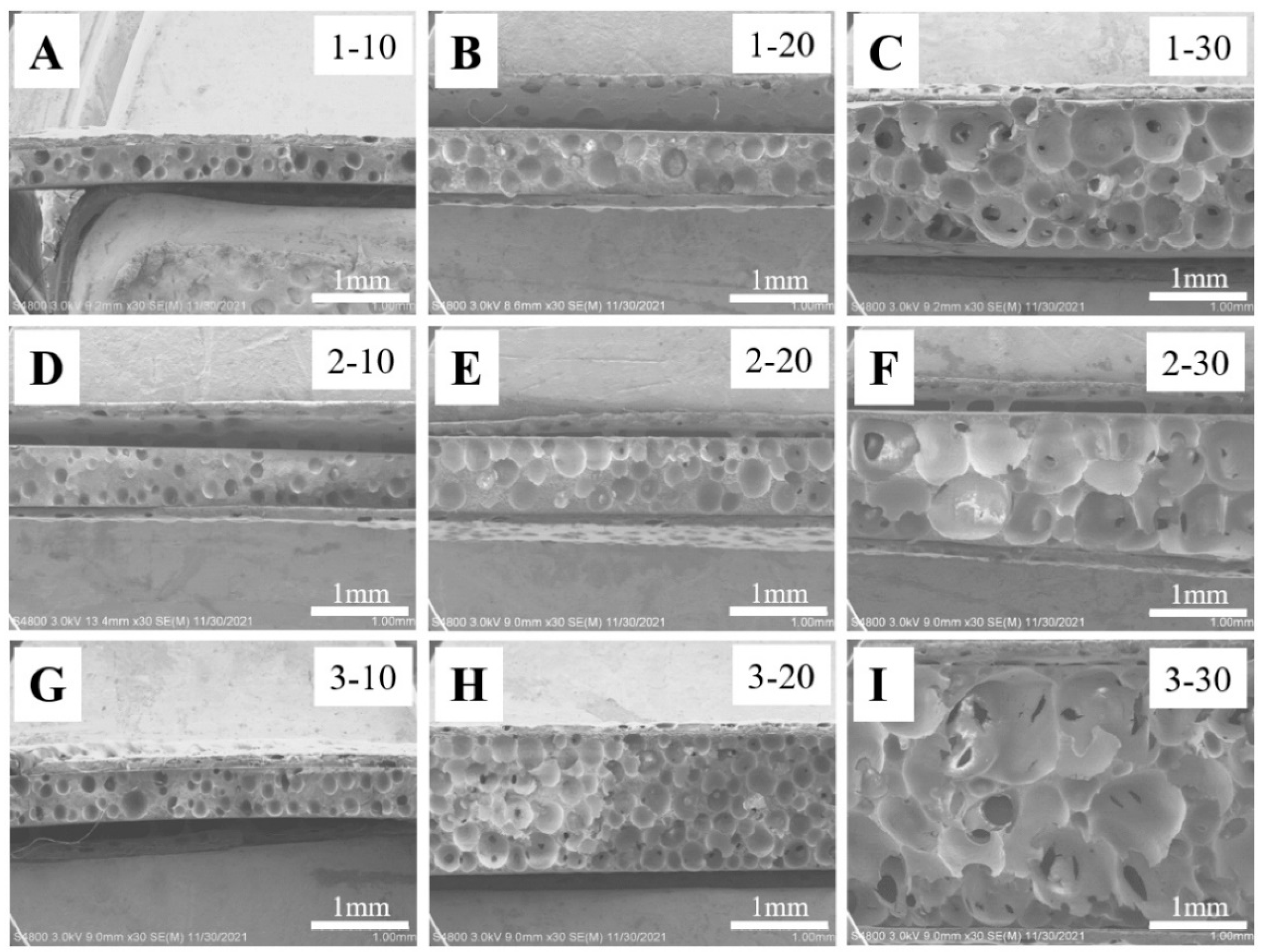 Polymers 14 05160 g002