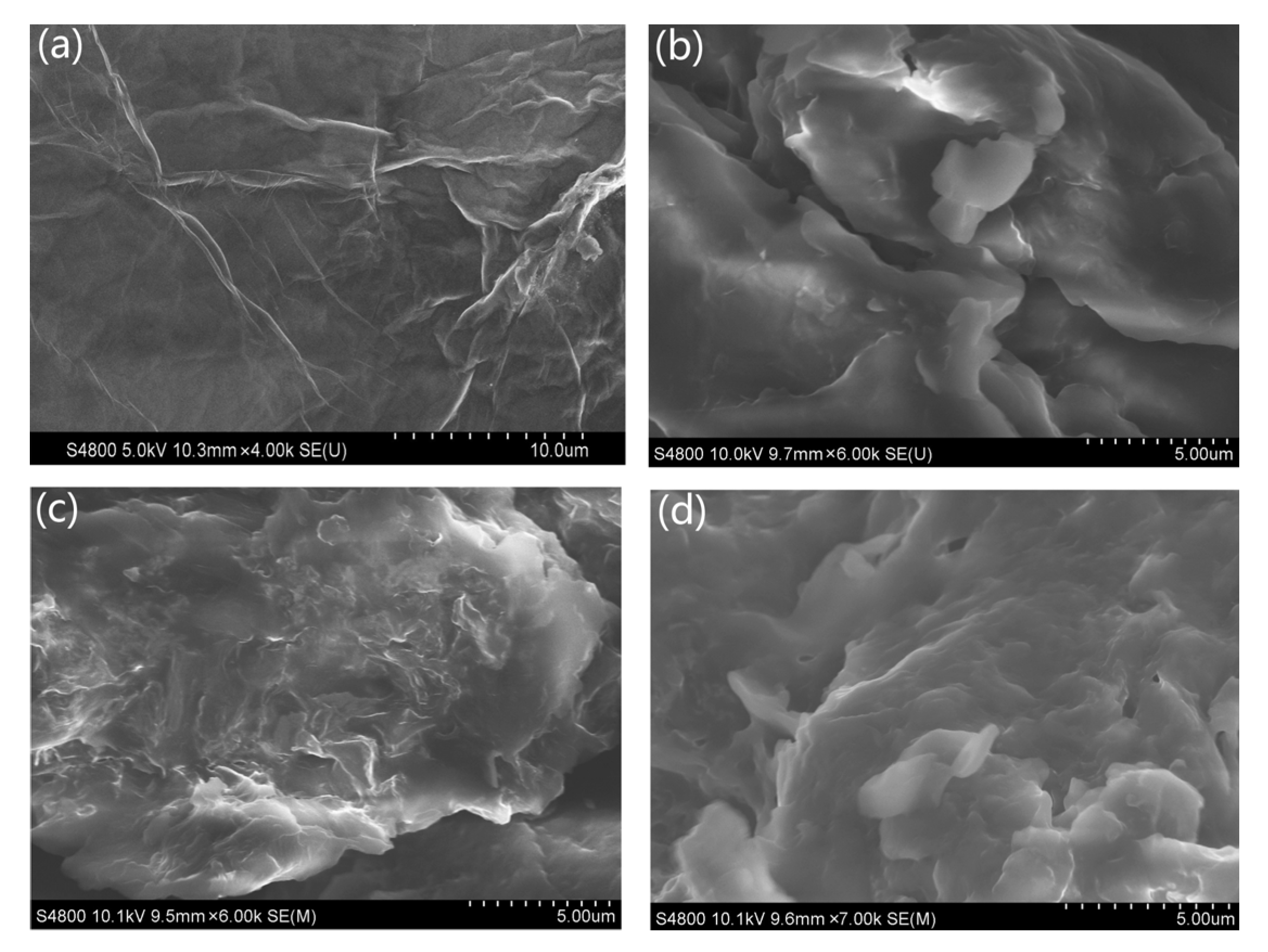 Polymers 14 05161 g003 Polymers 14 05161 g003