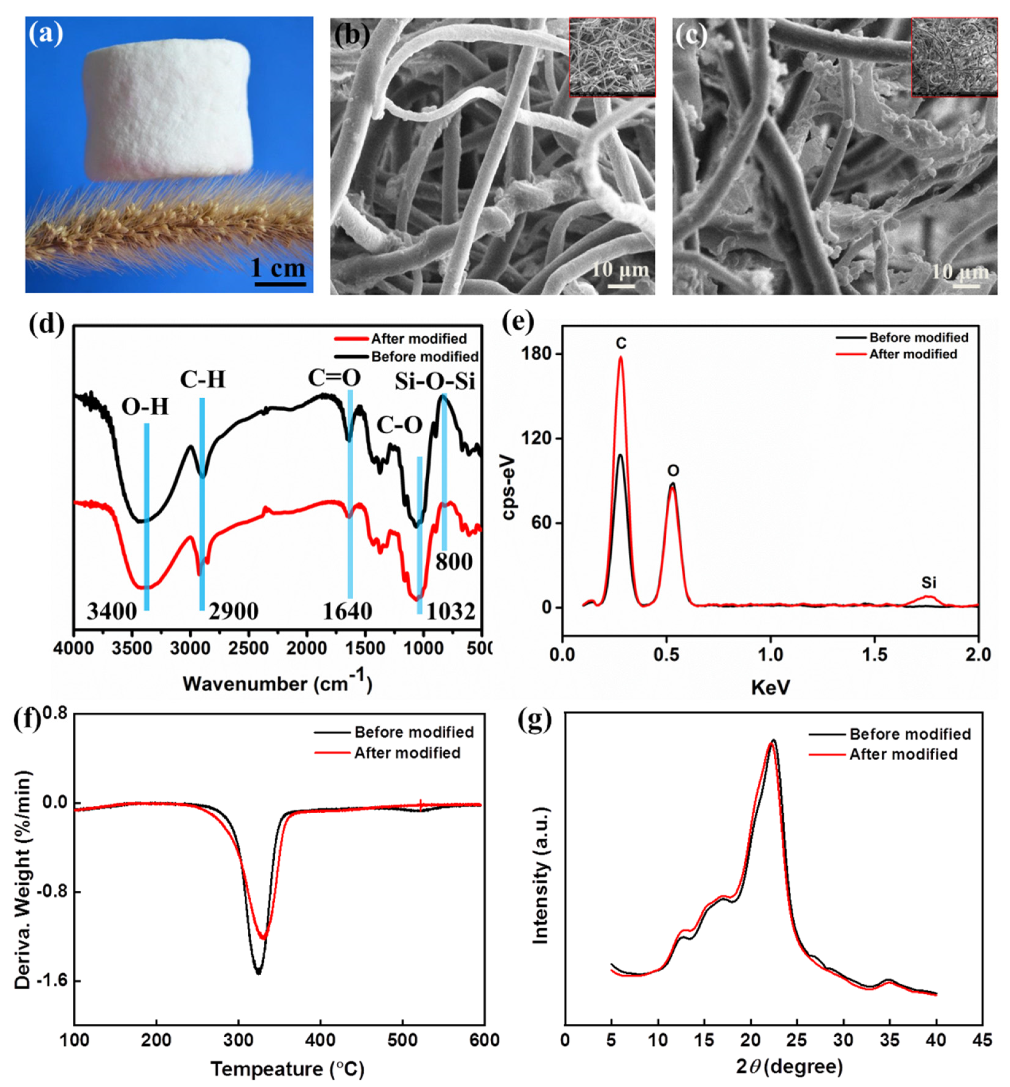 Polymers 14 05162 g002 Polymers 14 05162 g002