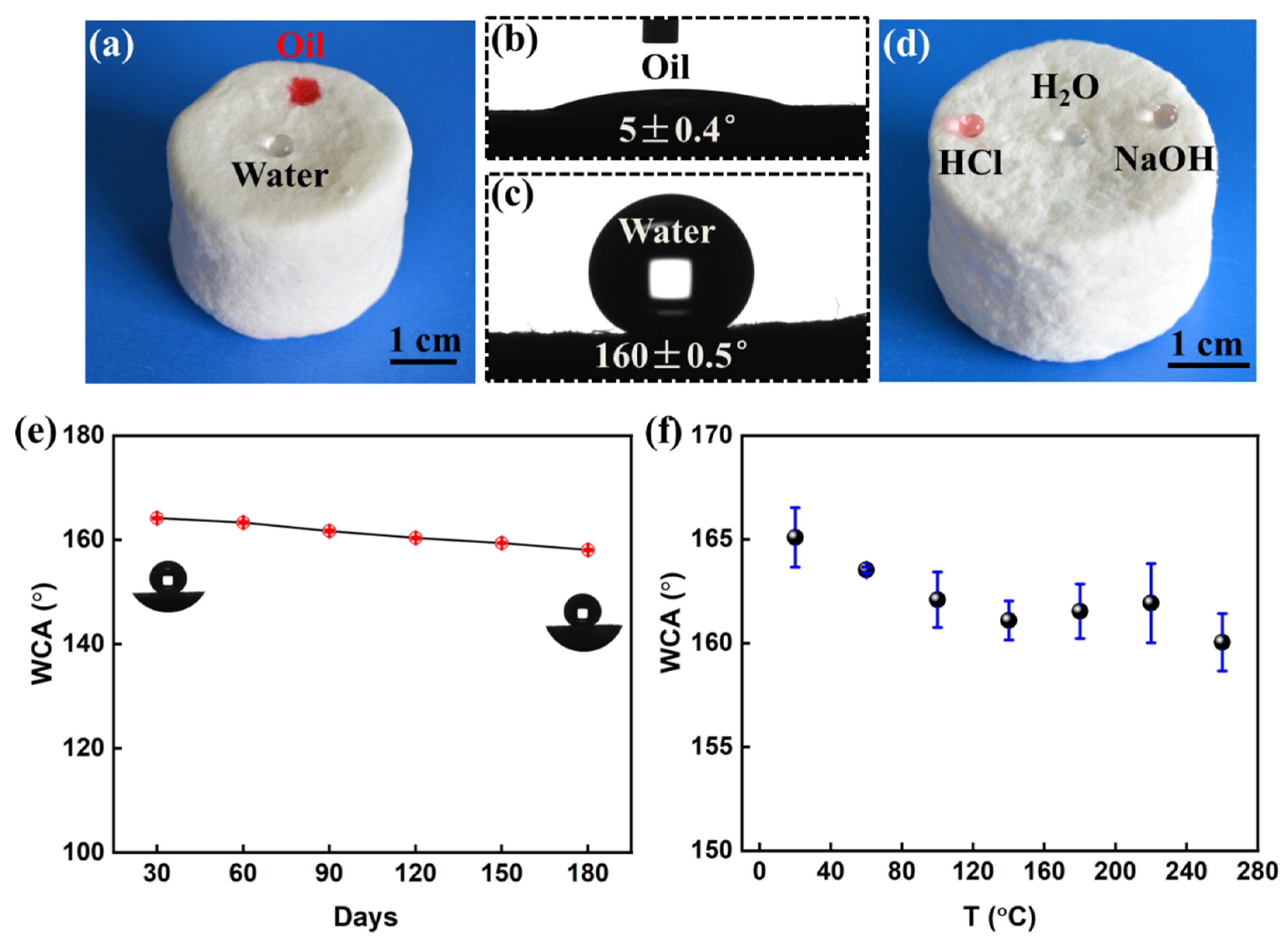 Polymers 14 05162 g003 Polymers 14 05162 g003