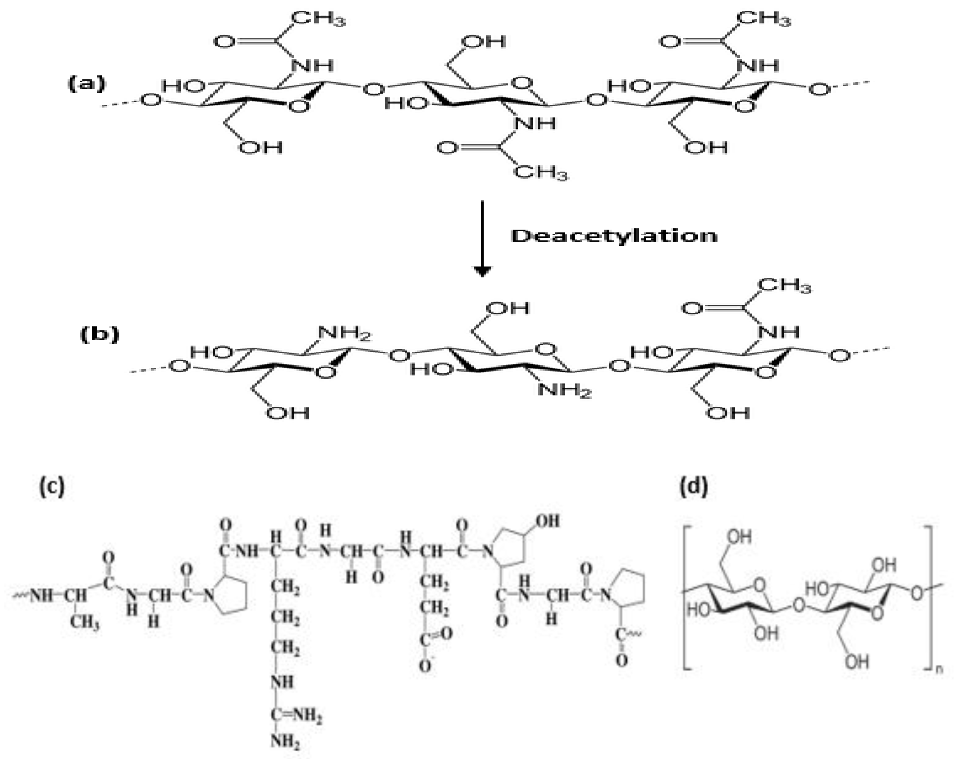 Polymers 14 05163 g002