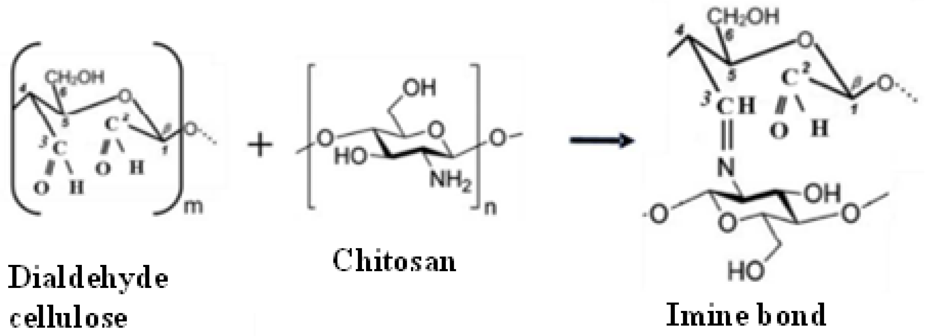 Polymers 14 05163 g003