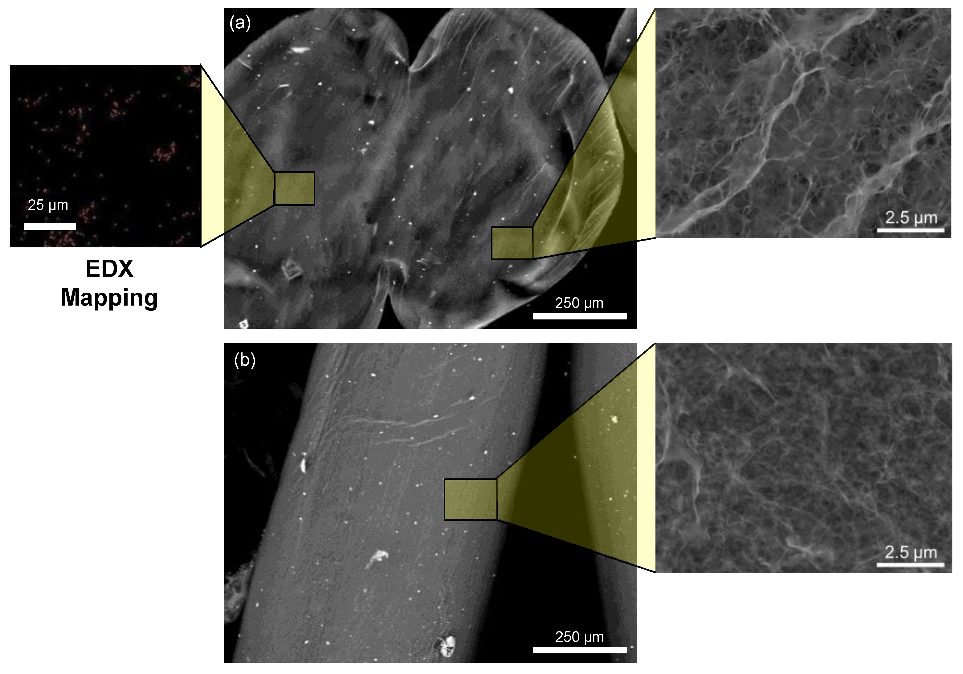 Polymers 14 05165 g001 Polymers 14 05165 g001