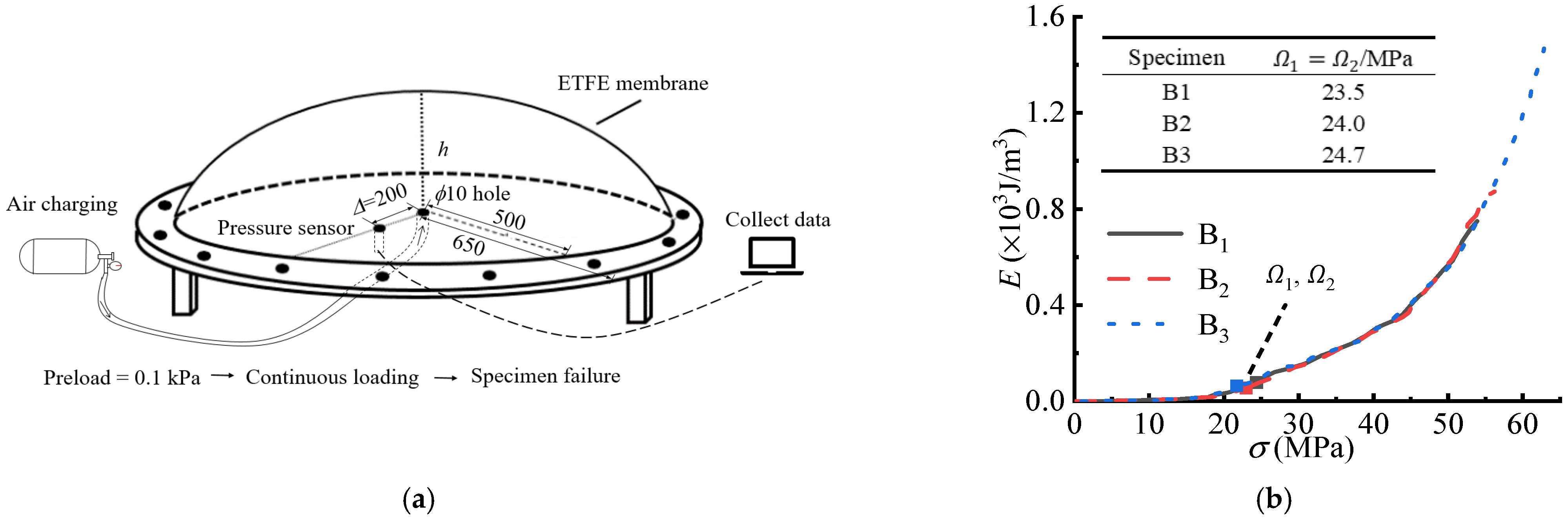Polymers 14 05166 g007 Polymers 14 05166 g007
