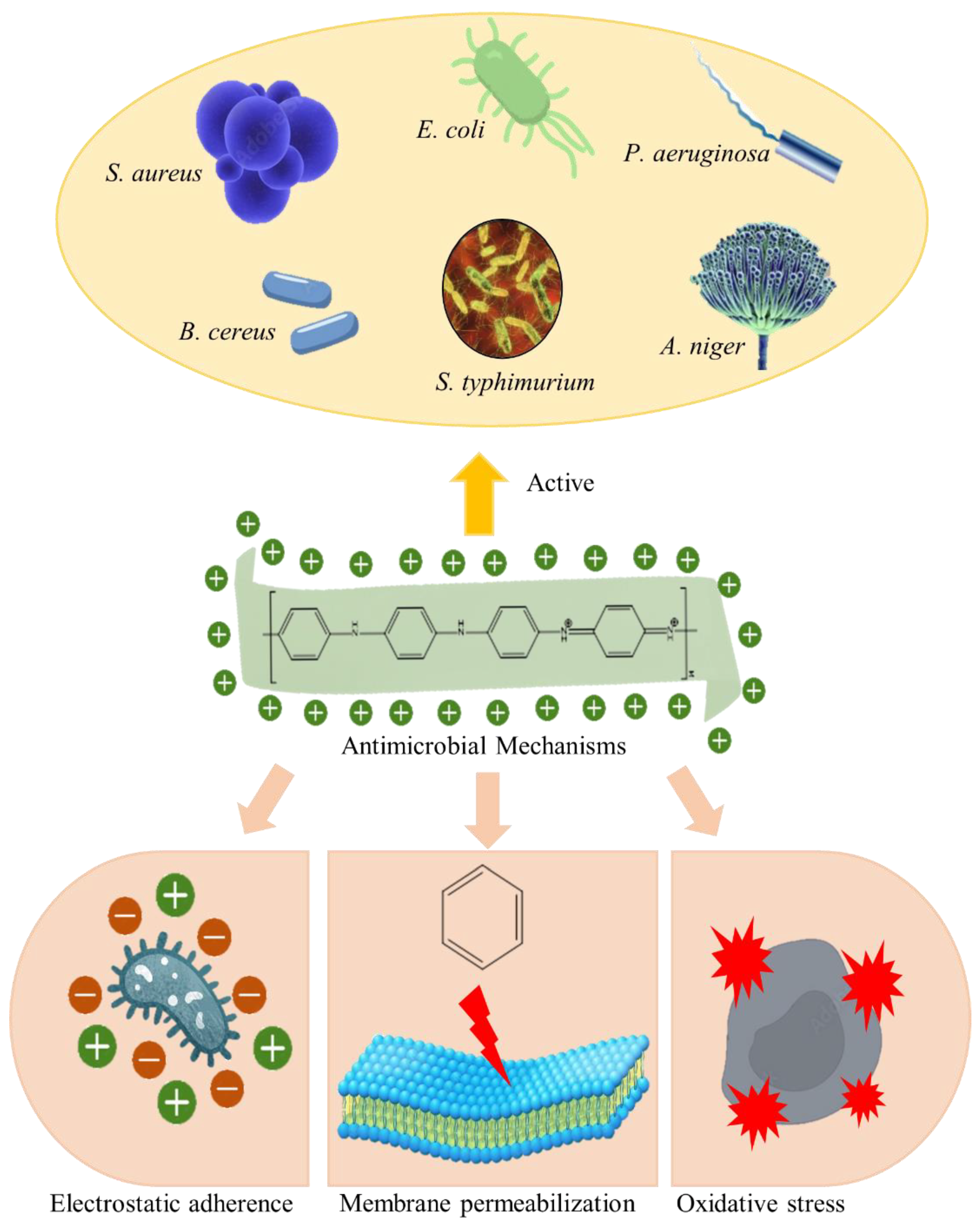 Polymers 14 05168 g008 Polymers 14 05168 g008