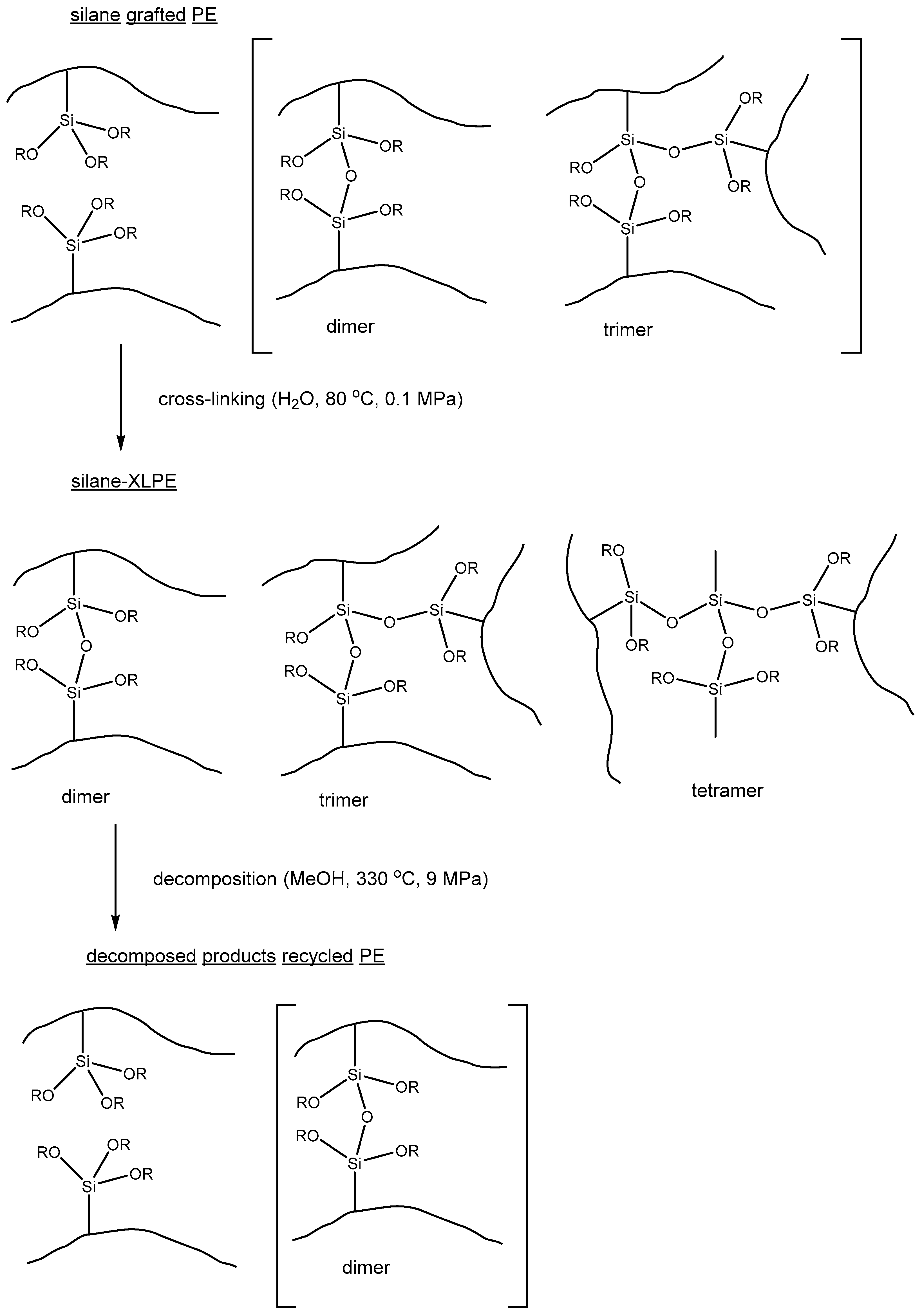 Polymers 14 05170 g005