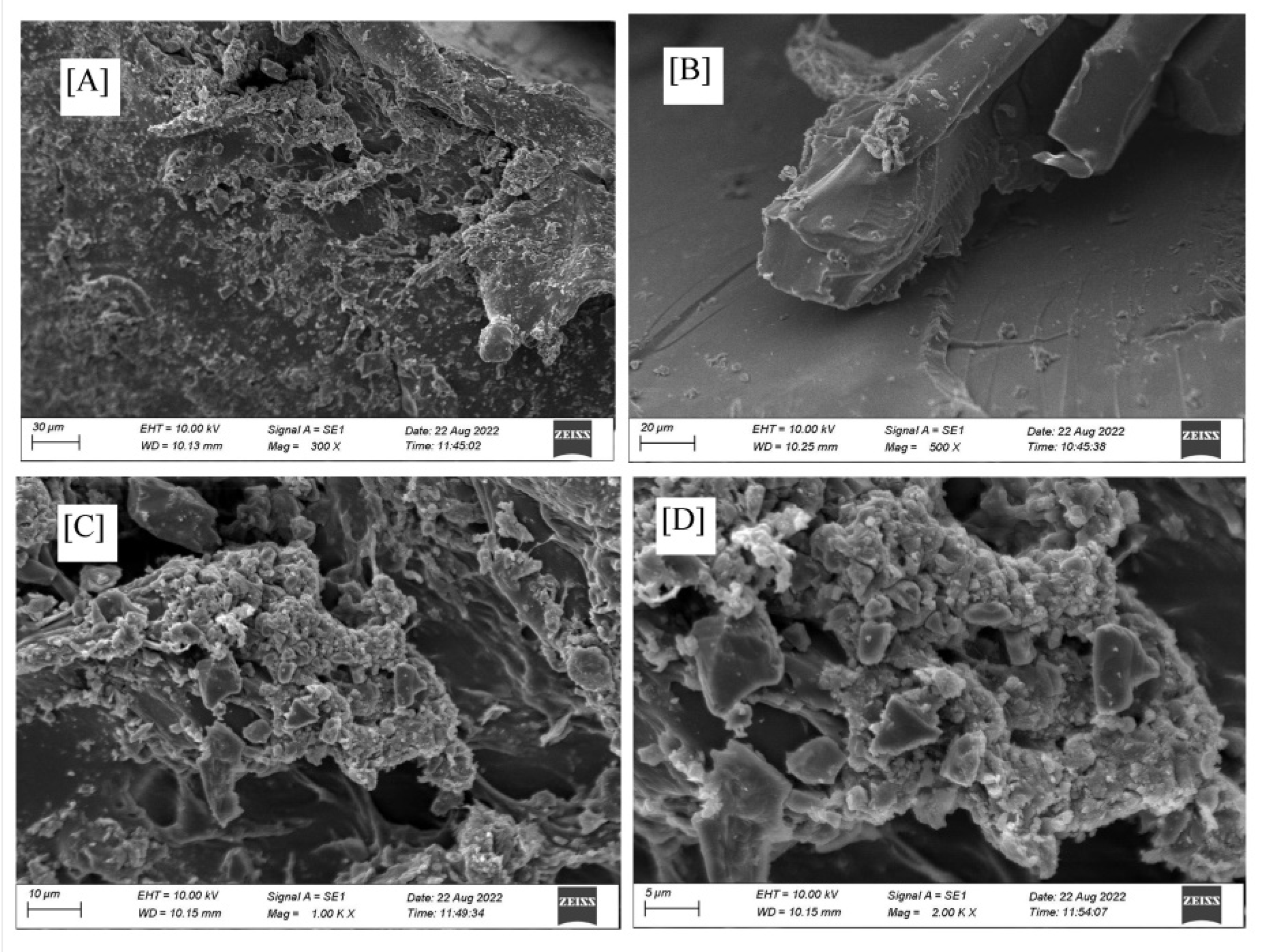 Polymers 14 05175 g006 Polymers 14 05175 g006