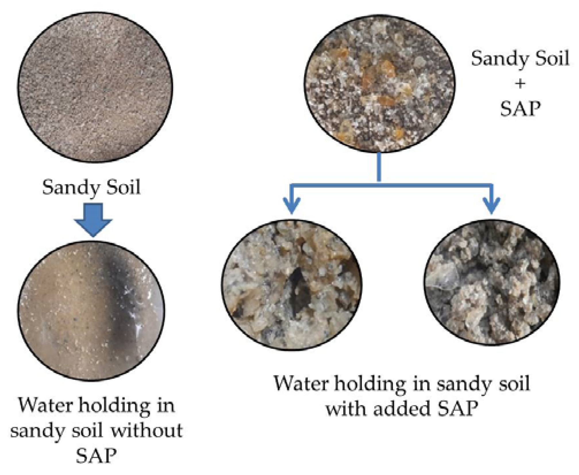 Polymers 14 05175 g009 Polymers 14 05175 g009