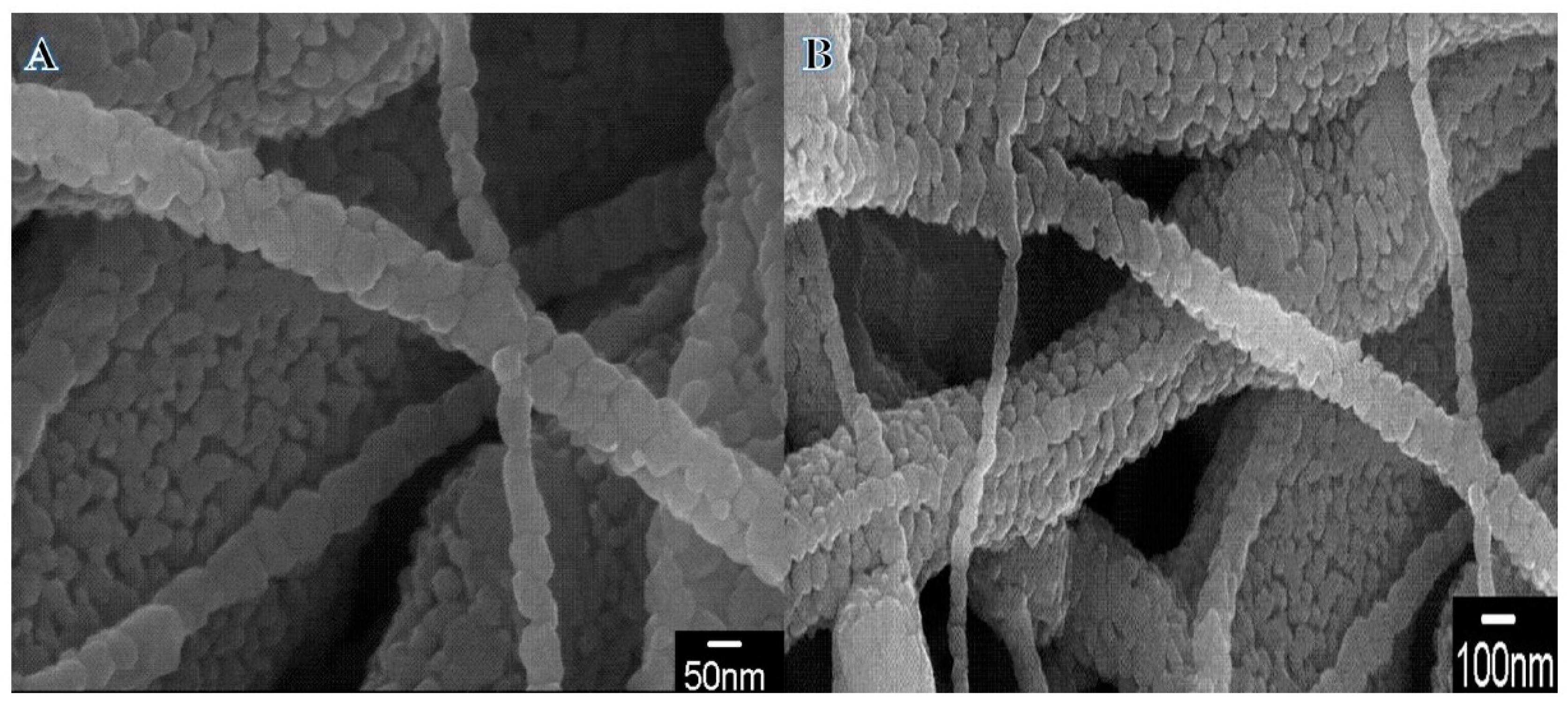 Polymers 14 05180 g001