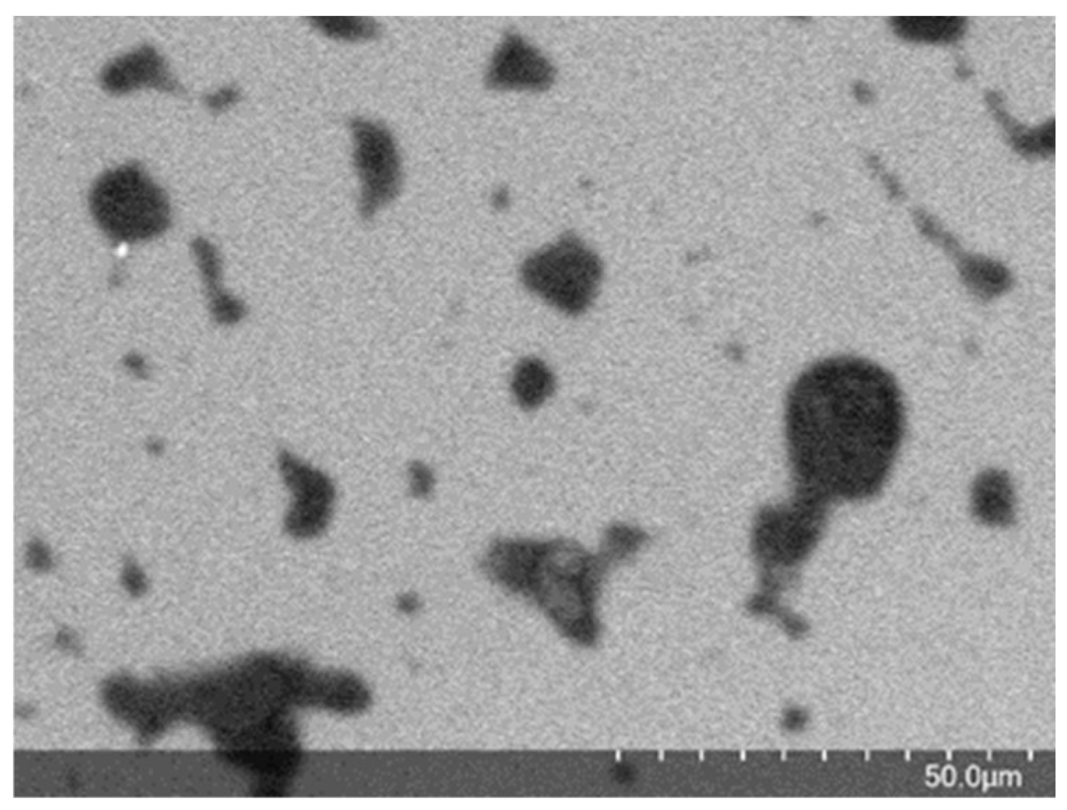 Polymers 14 05188 g001 Polymers 14 05188 g001