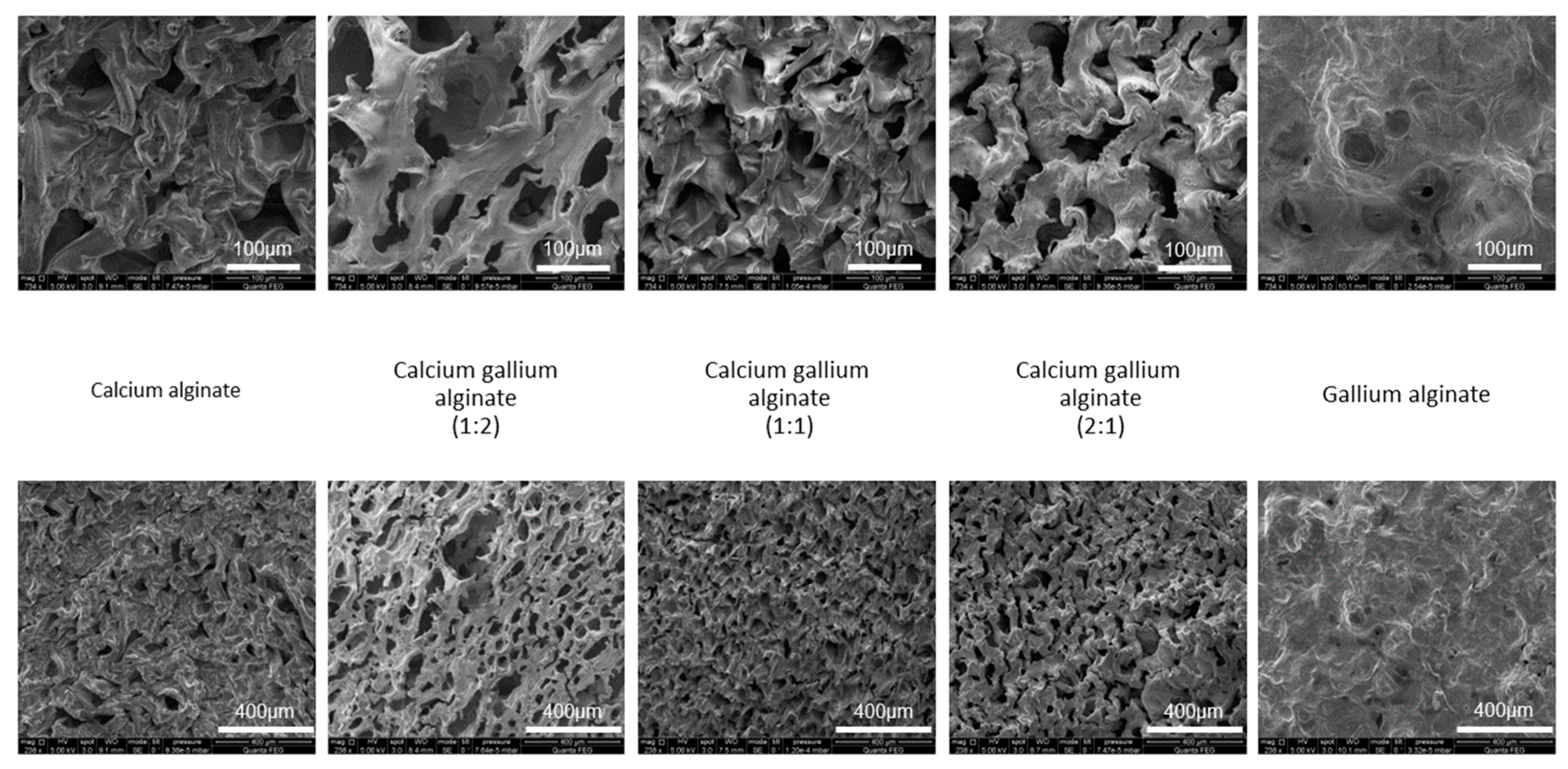 Polymers 14 05192 g002 Polymers 14 05192 g002