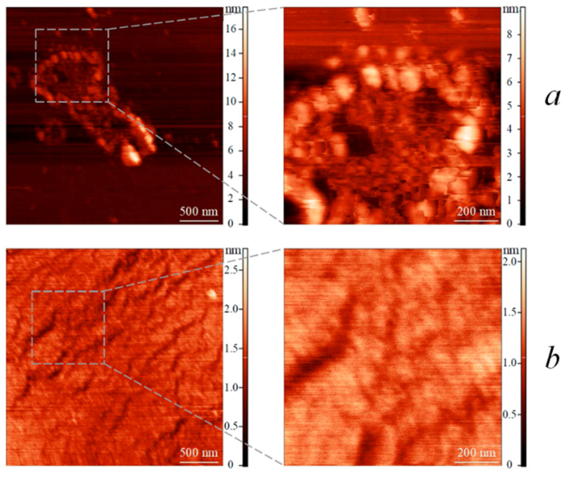 Polymers 14 05193 g006 Polymers 14 05193 g006