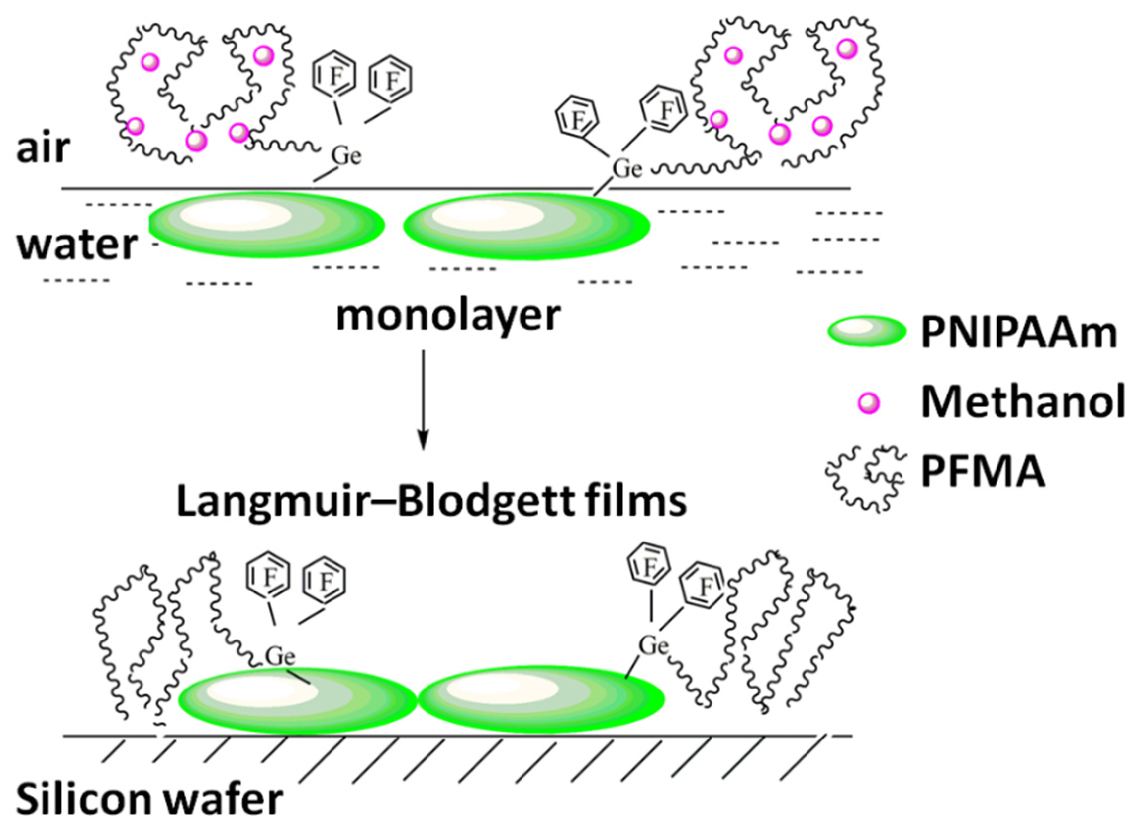 Polymers 14 05193 sch003 Polymers 14 05193 sch003