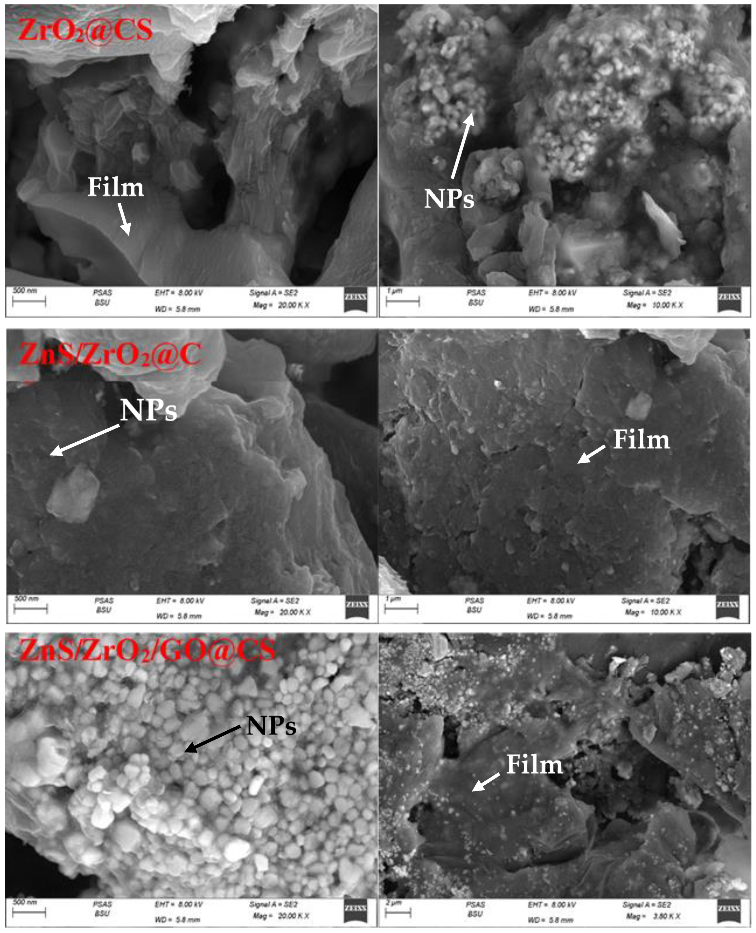 Polymers 14 05195 g003 Polymers 14 05195 g003