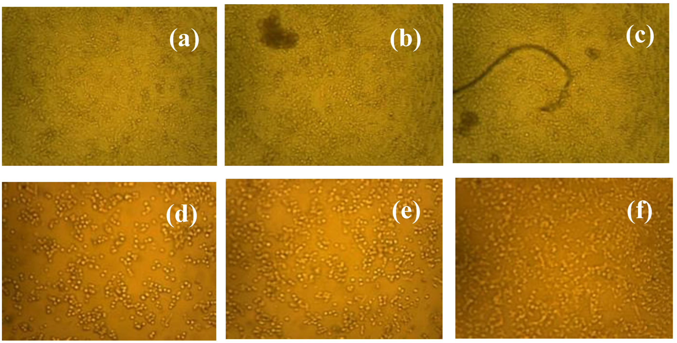 Polymers 14 05195 g008 Polymers 14 05195 g008