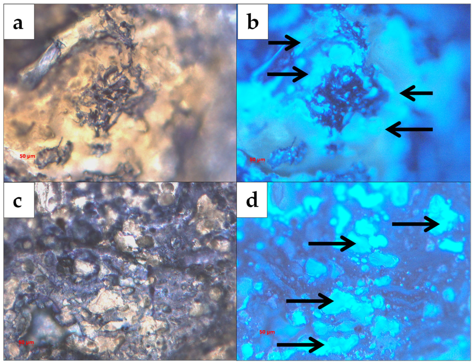 Polymers 14 05196 g001 Polymers 14 05196 g001