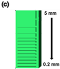 Polymers 14 05198 i003 Polymers 14 05198 i003