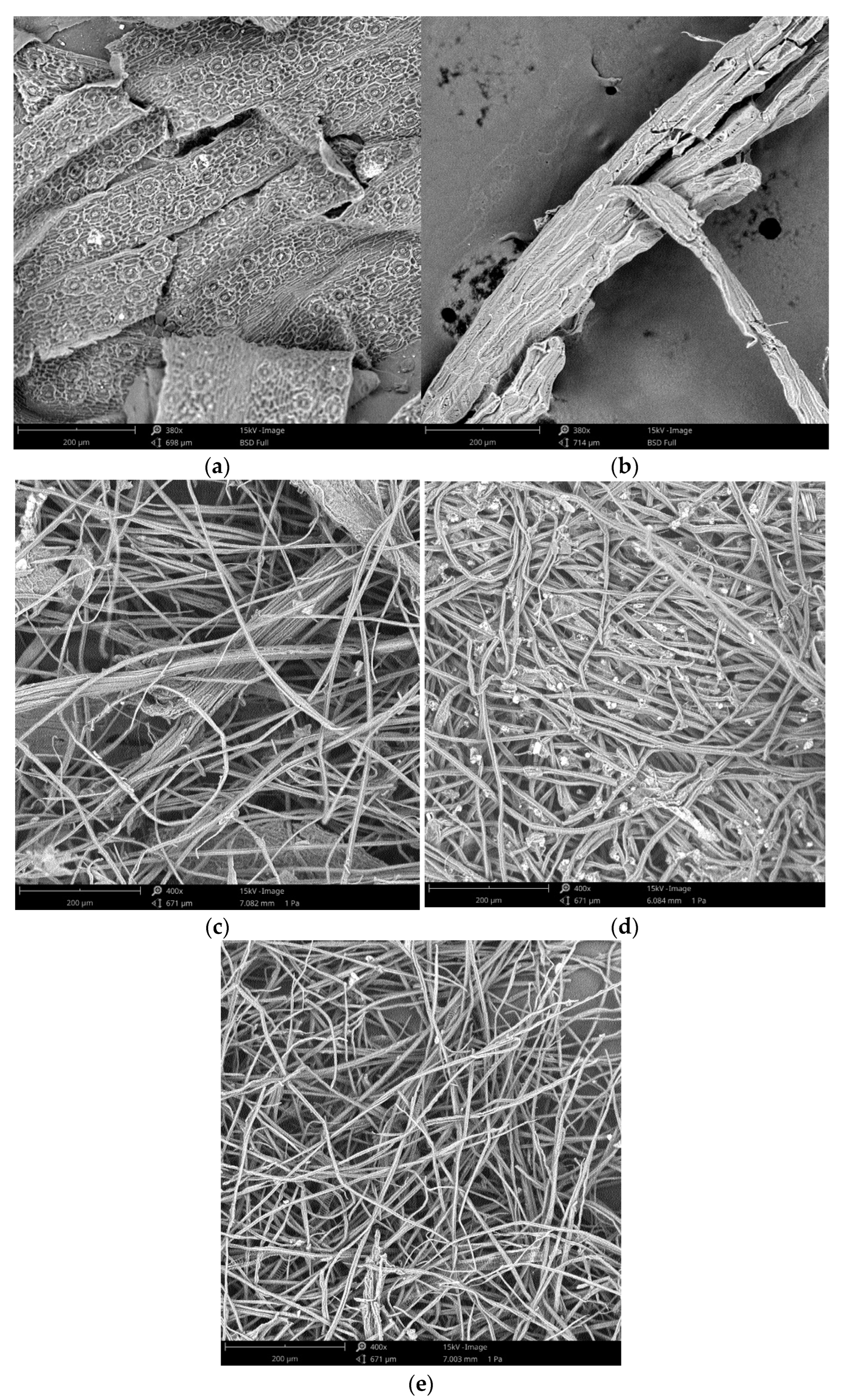 Polymers 14 05206 g006 Polymers 14 05206 g006