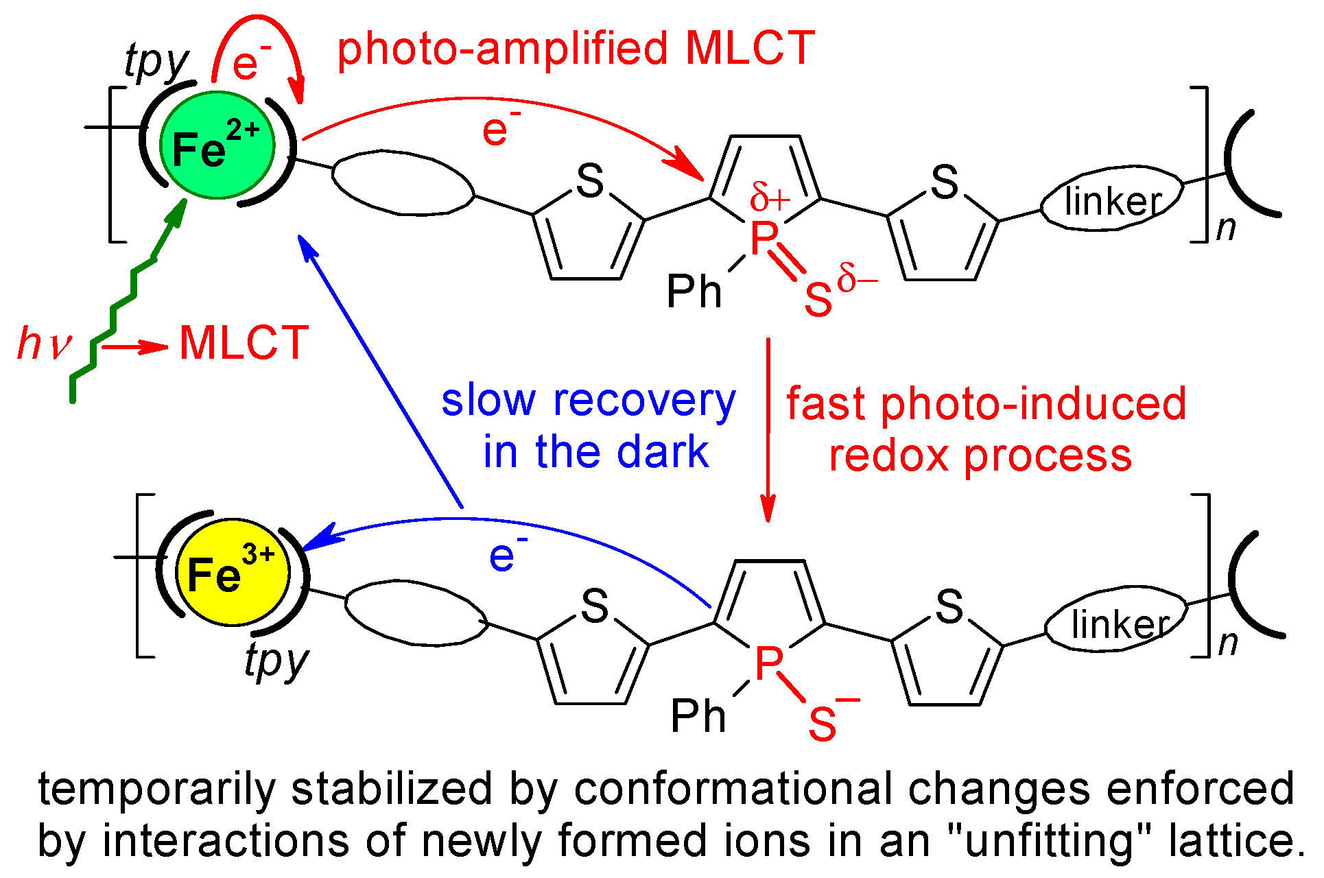Polymers 14 05207 sch004 Polymers 14 05207 sch004