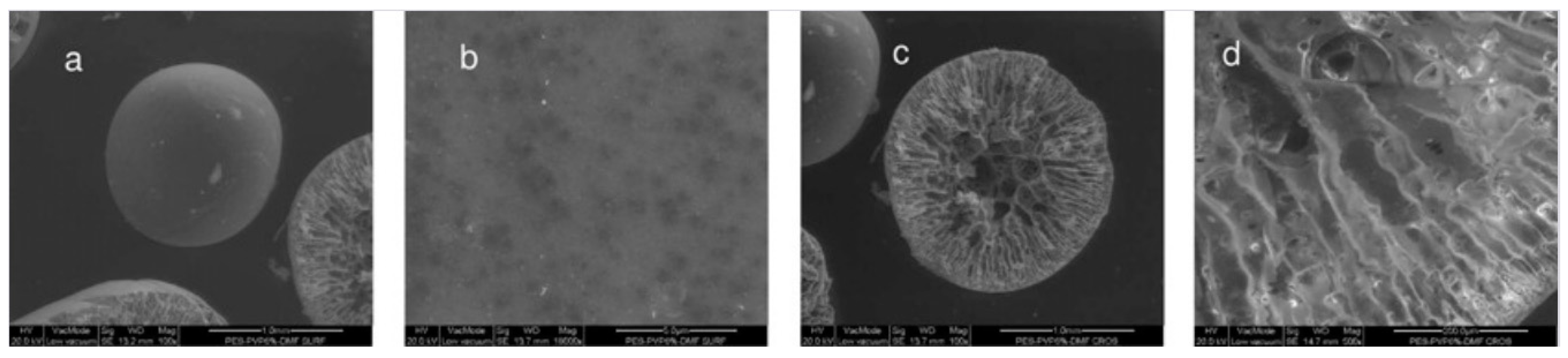 Polymers 14 05209 g007