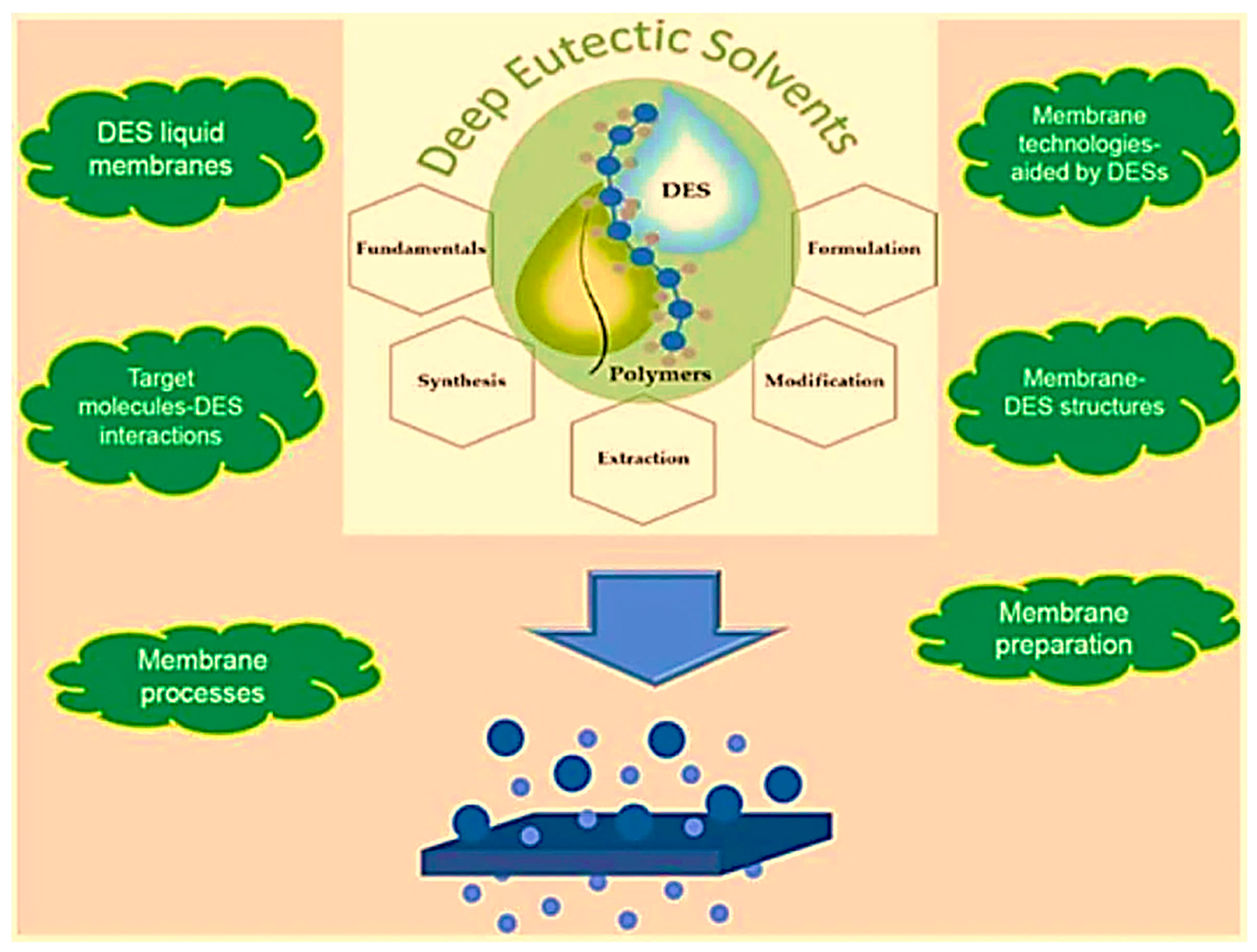 Polymers 14 05209 g013